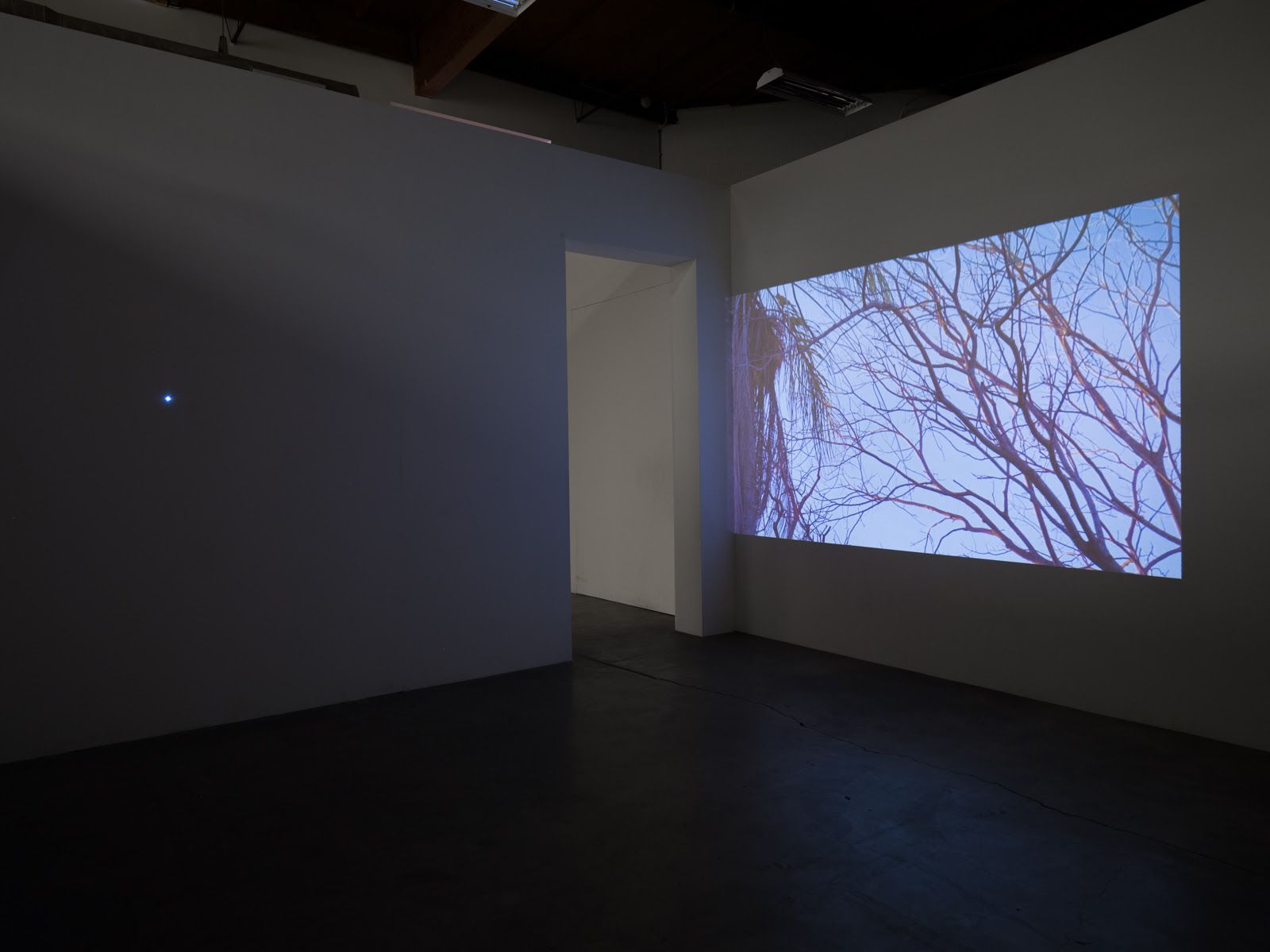 Julien Bismuth, Perchings at The Box, photo 2