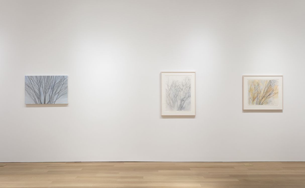 Sylvia Plimack Mangold, Summer and Winter at Alexander and Bonin, photo 2