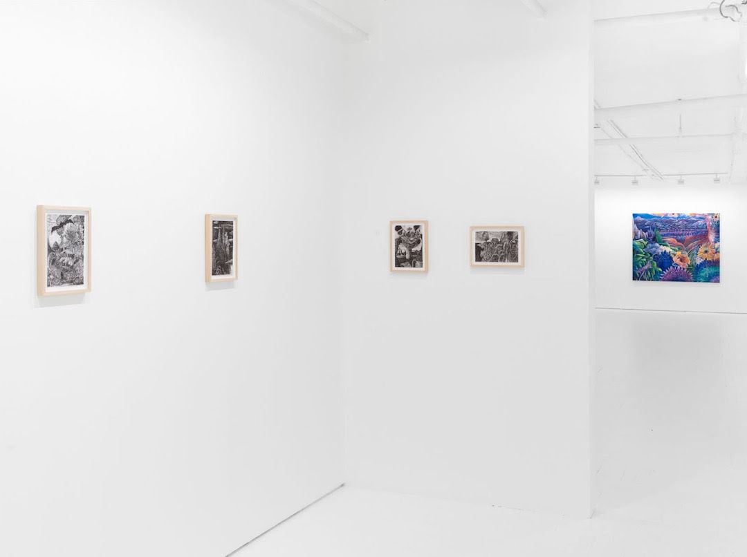 Raymie Iadevaia, Nesting in Deep Time at Jack Barrett, photo 6