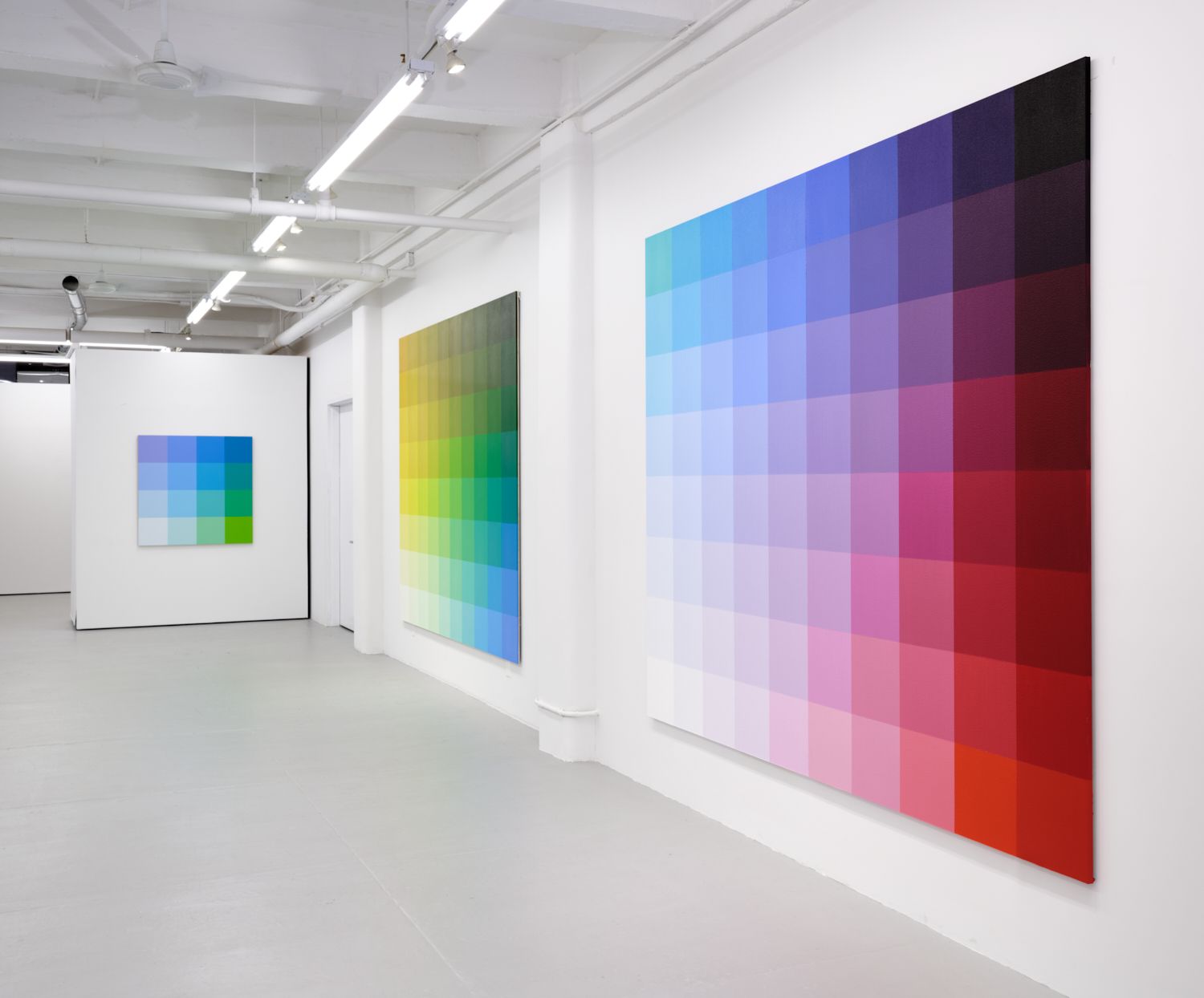 Robert Swain, The Perception of Color at David Richard Gallery, photo 5