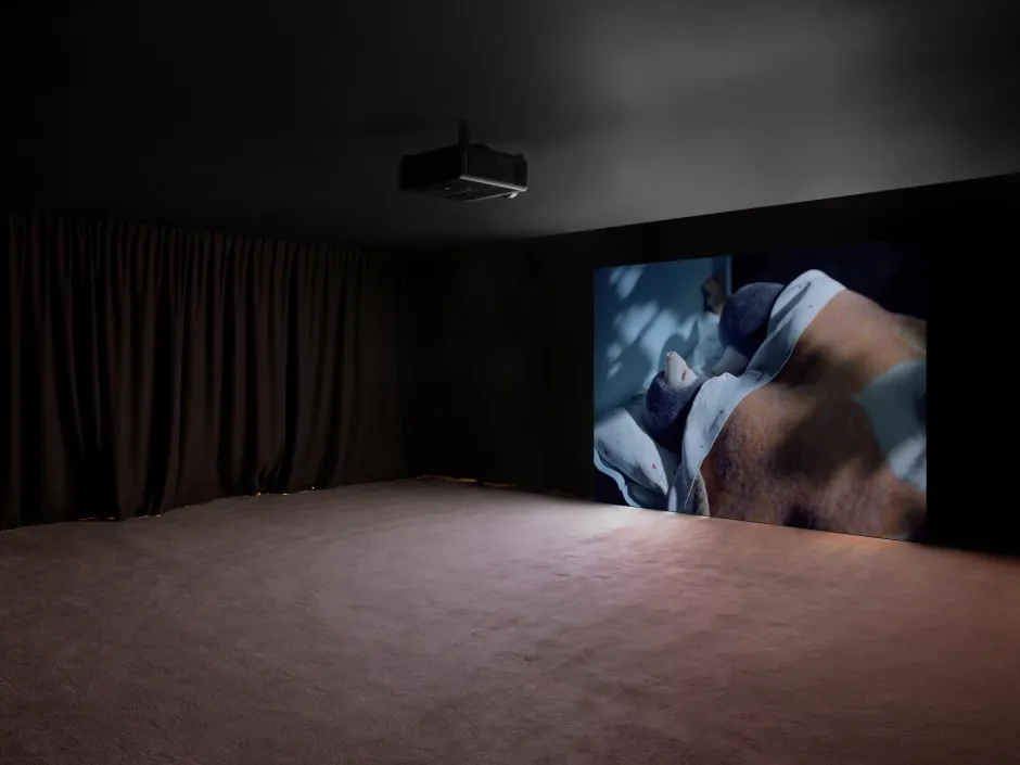 Diego Marcon, Dolle at Sadie Coles, photo 2
