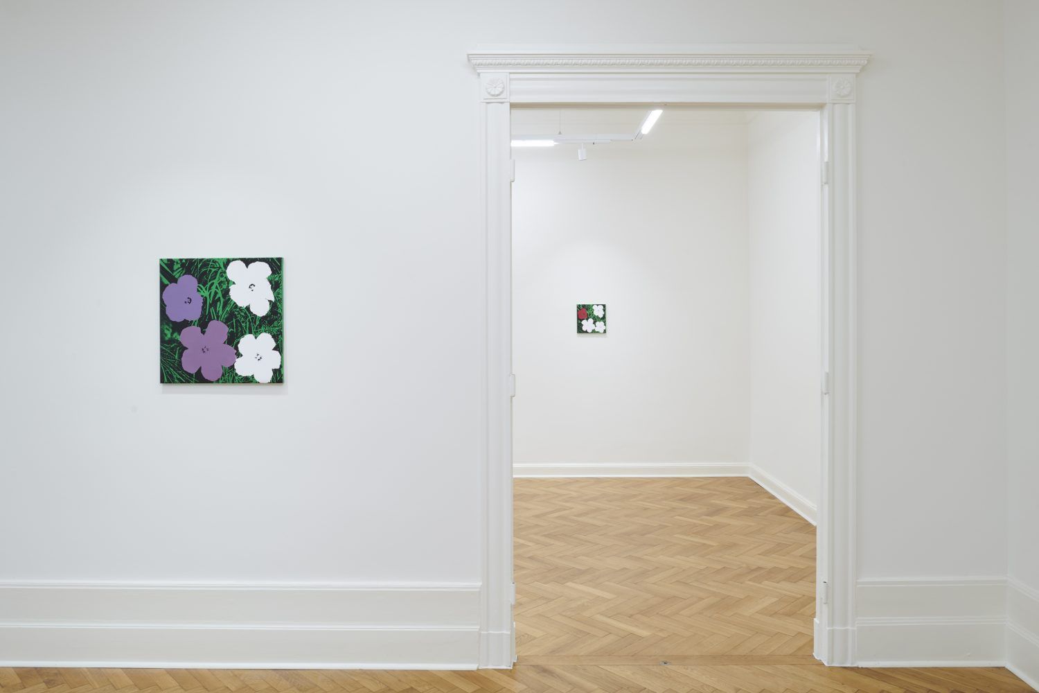 Sturtevant, Sturtevant at Société, photo 5