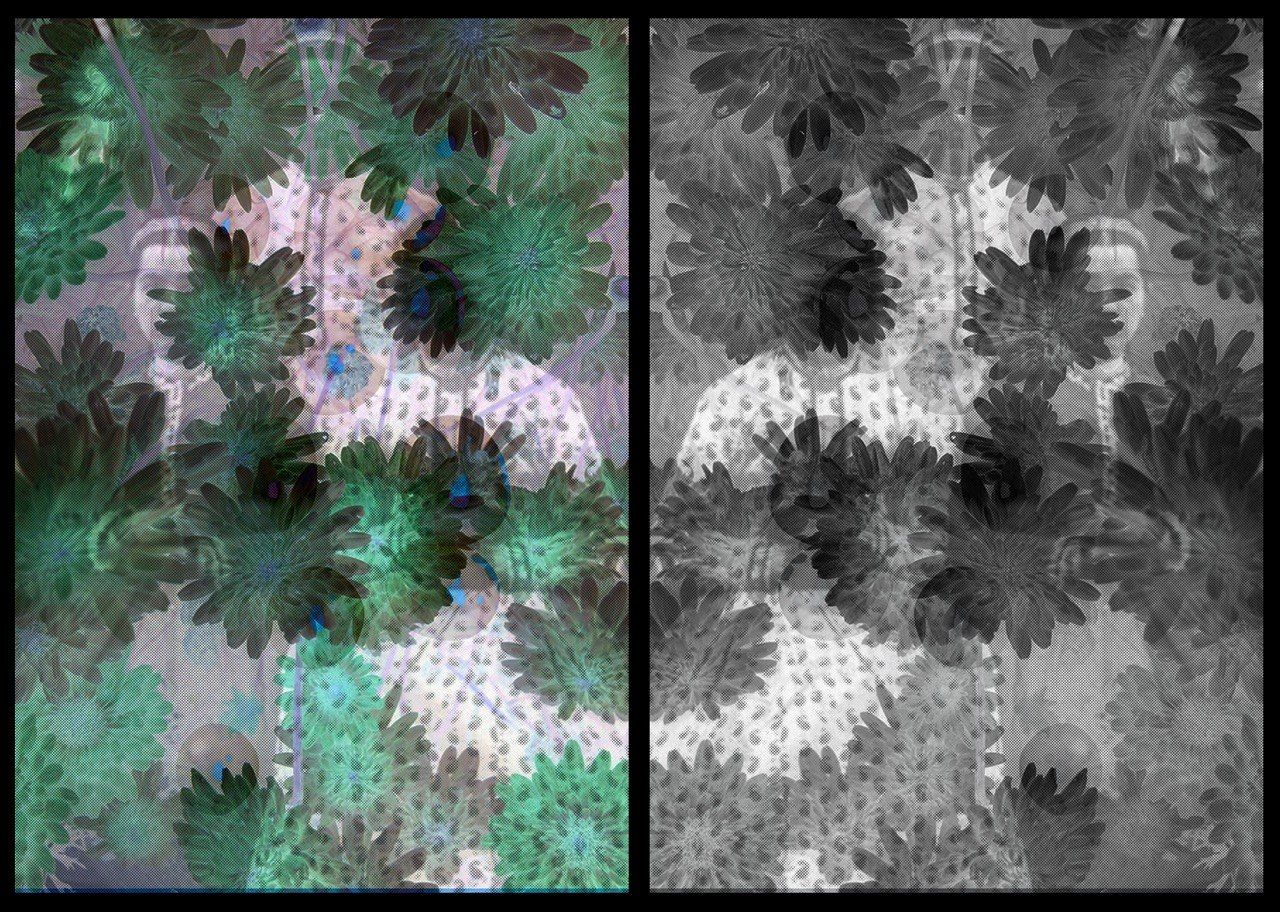 A Gaze Through Time: Contemporary Reflections on Memory and History, image 5 of 5