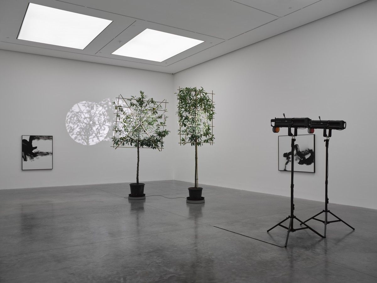 Cerith Wyn Evans, No Realm of Thought… No Field of Vision at White Cube, photo 8