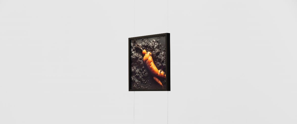 Willem De Rooij, Root at Thomas Schulte, photo 2