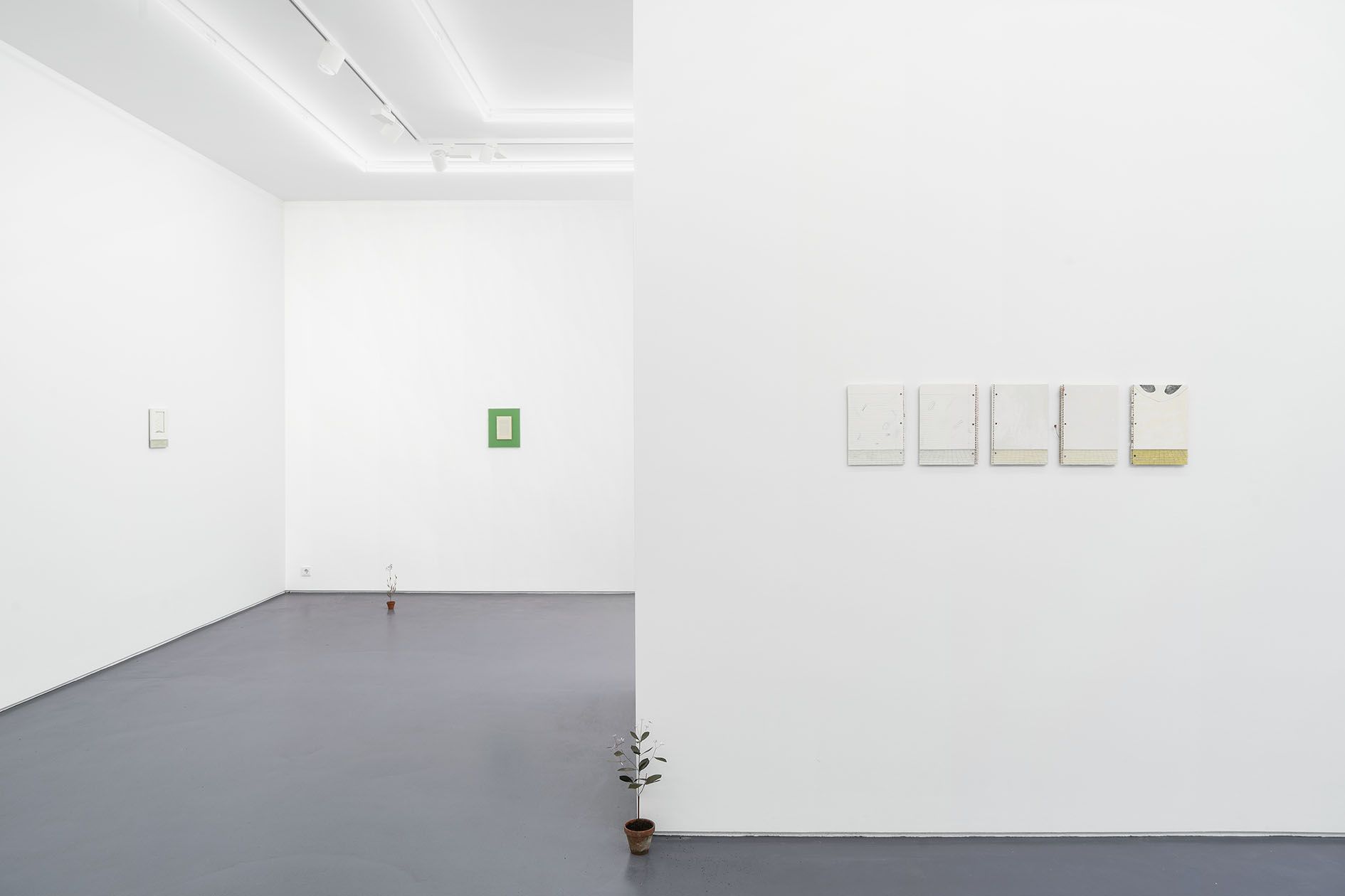 José Montealegre, Nuevo Mundo at Mountains, photo 3