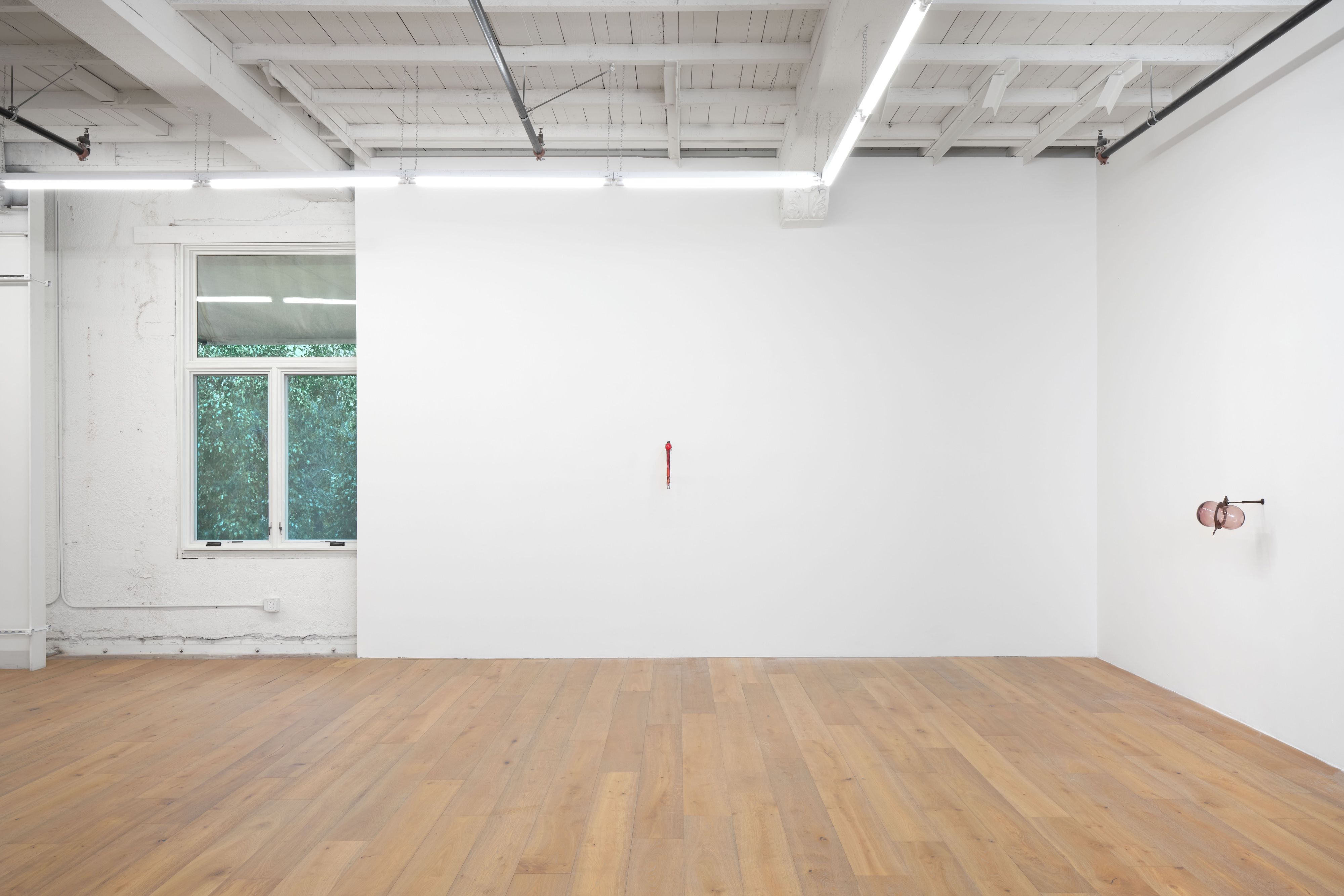Sula Bermudez-Silverman, Mole, Mold, Molt at Hannah Hoffman, photo 7