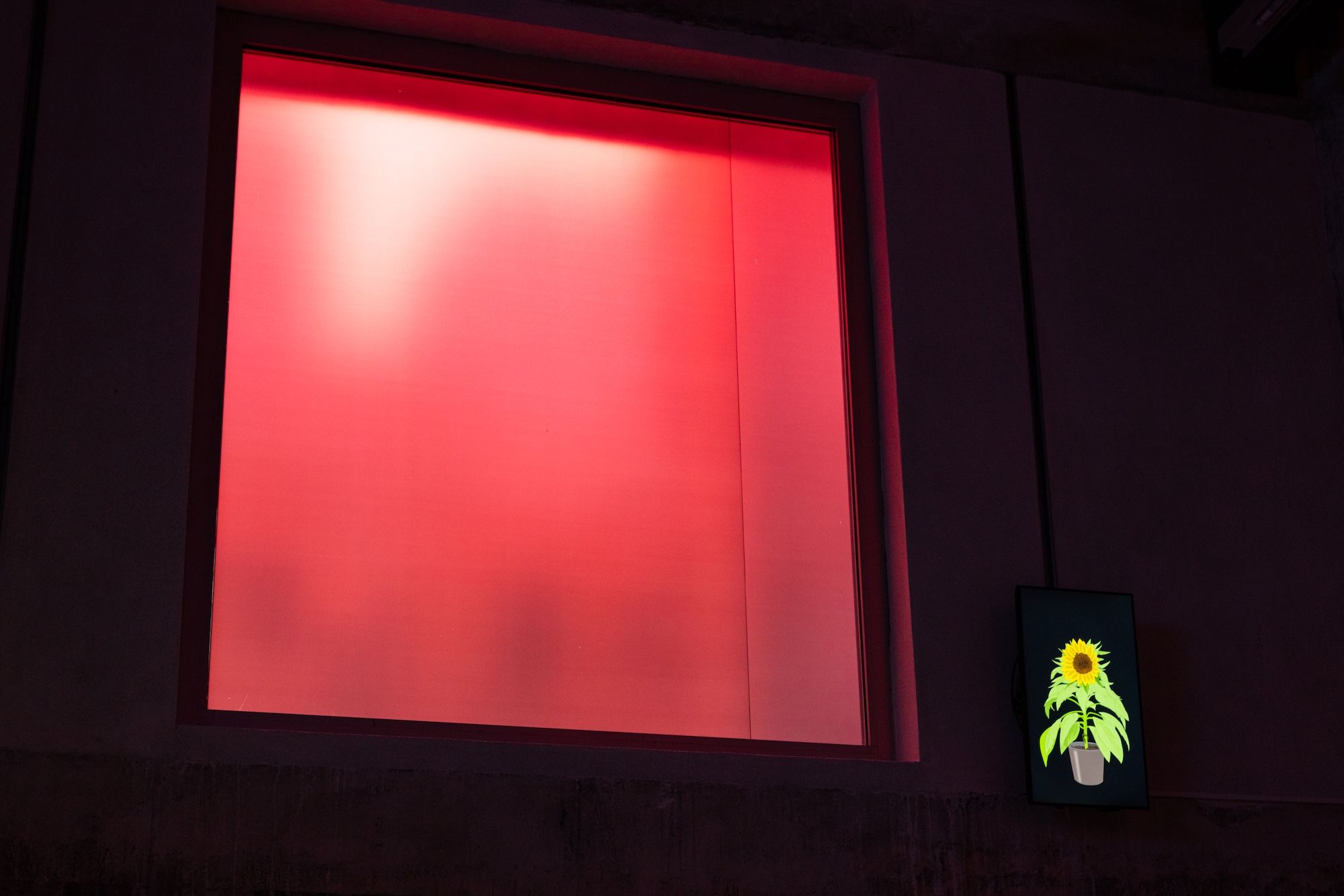 Ho Tzu Nyen, Three Stories: Monsters, Opium, Time at Kiang Malingue, photo 22