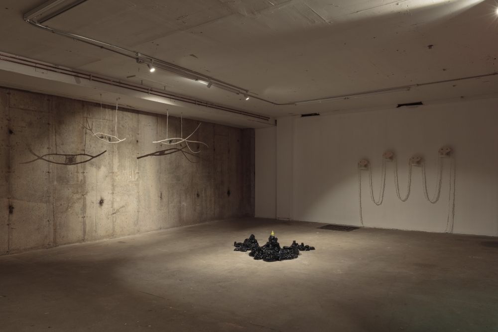 Mindy Rose Schwartz, Mindy Rose Schwartz at Interstate, photo 2