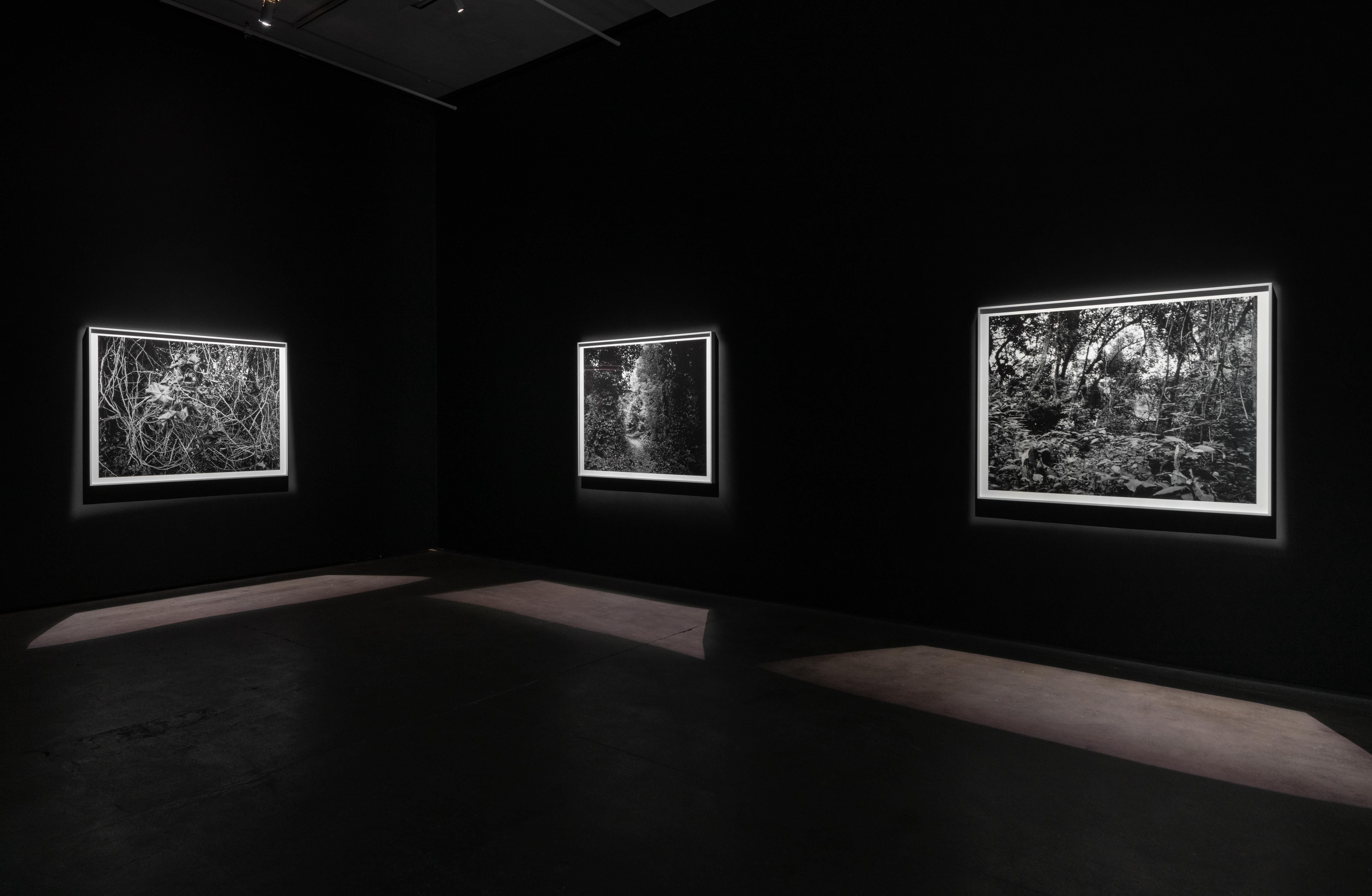 Installation view 3