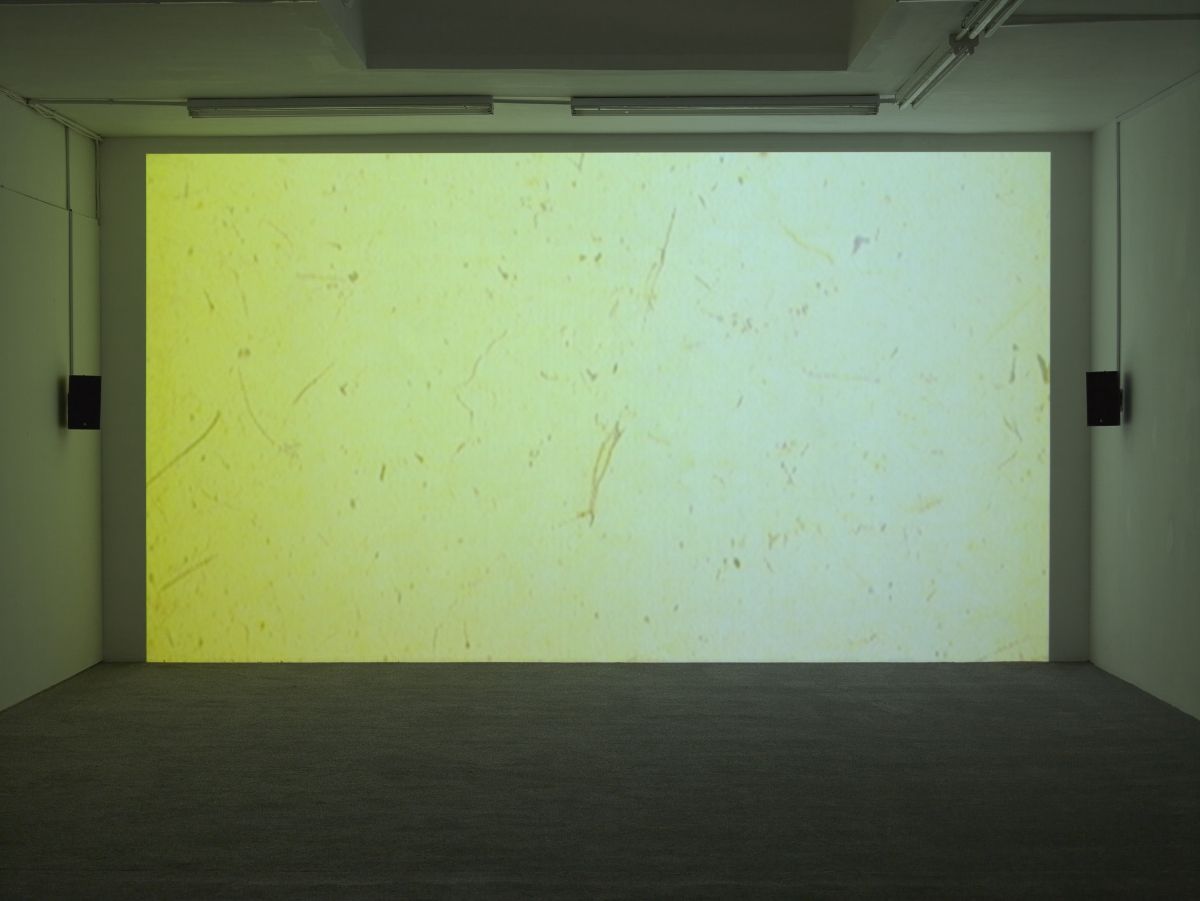 Elizabeth McAlpine, Light Reading at Laura Bartlett, photo 6