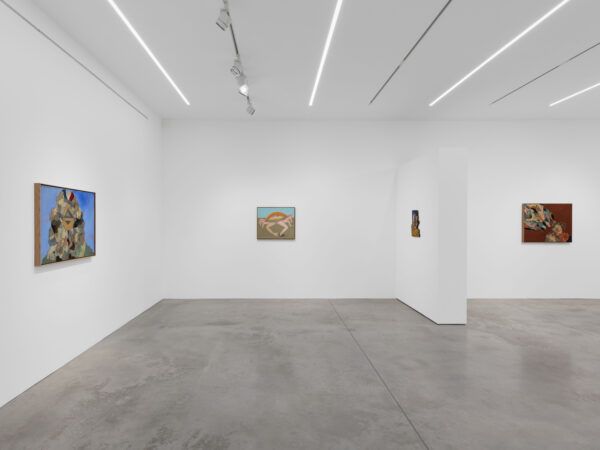 Bona de Mandiargues, Bona de Mandiargues at Alison Jacques, photo 3