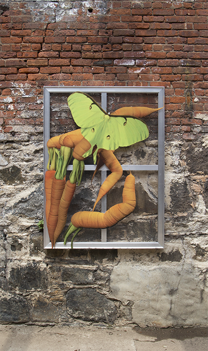 Gregory Kalliche, Second Sun at Knockdown Center, photo 2