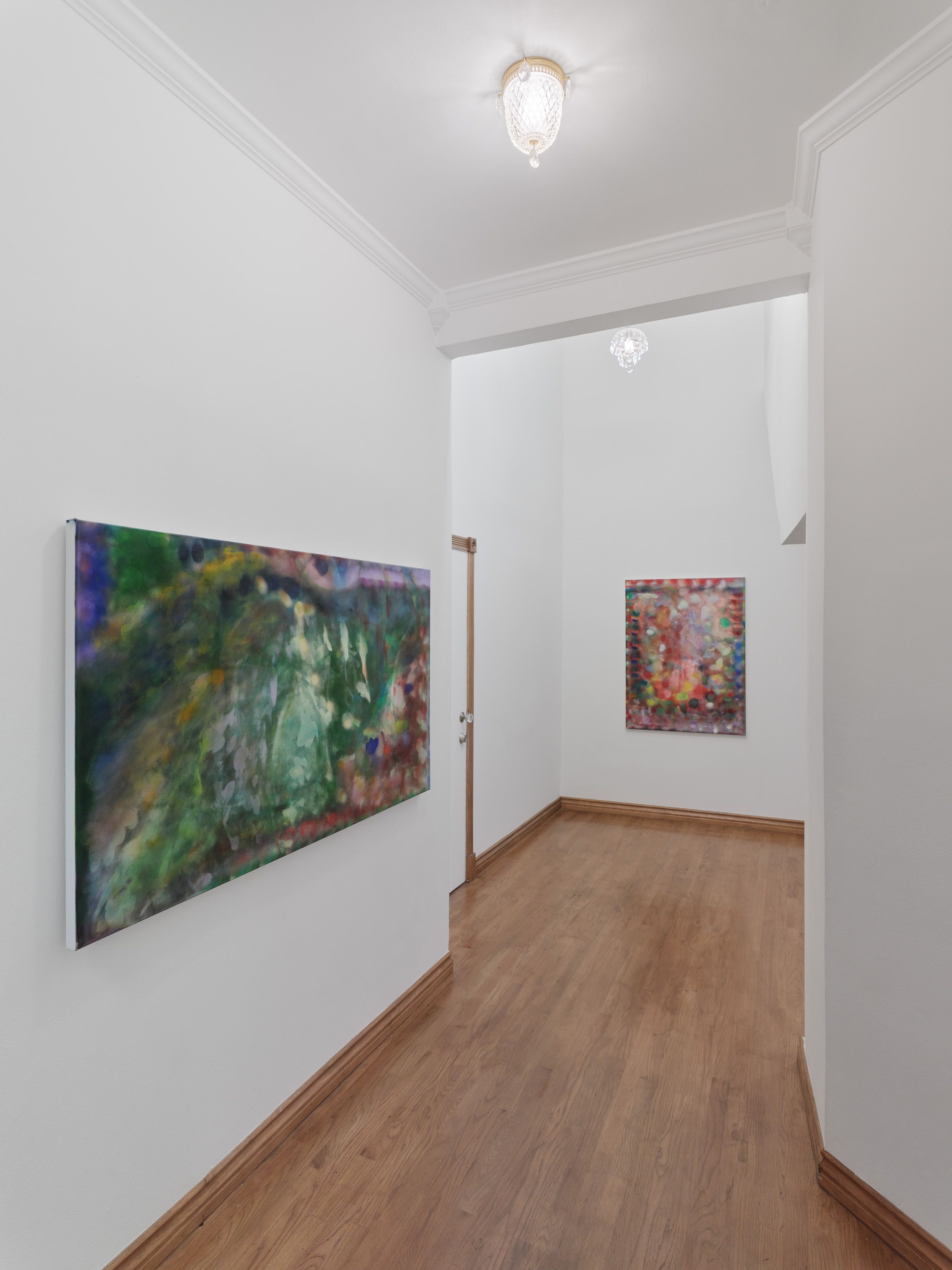 Sara Ludy, Later Fields at Smart Objects, photo 6