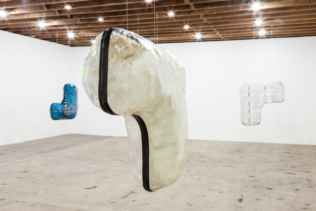 Ragen Moss, Gray Mandates at Redling Fine Art, photo 4