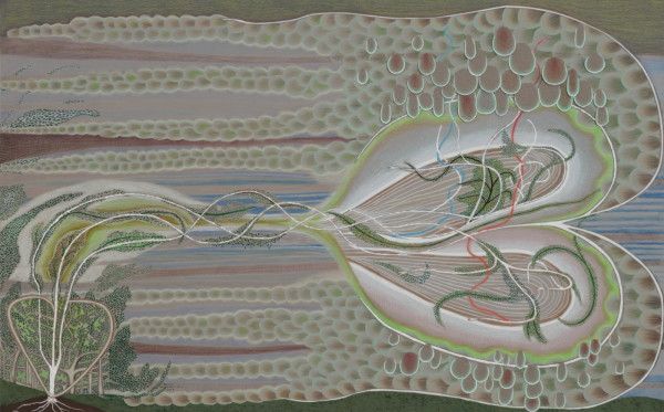 Marcy Hermansader, image 4 of 7