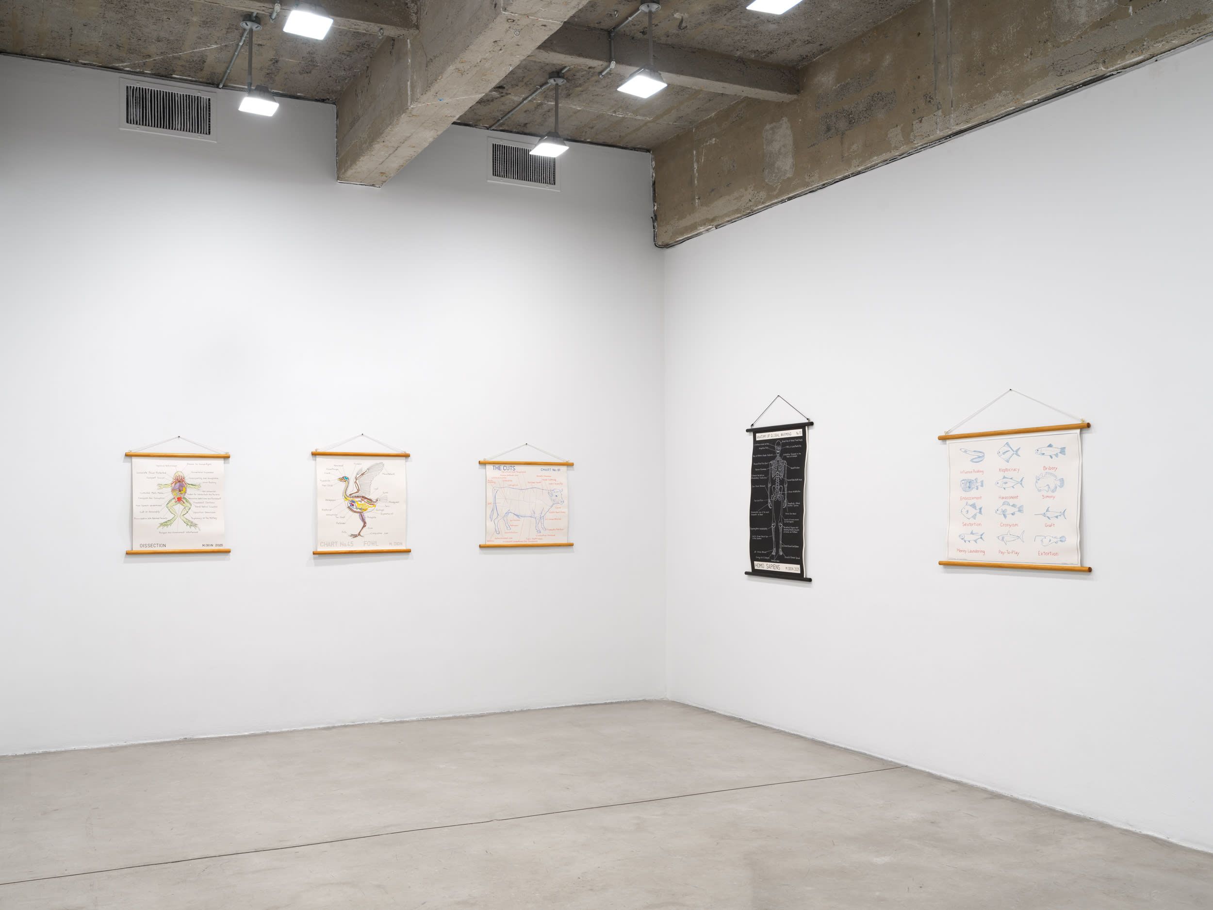 Mark Dion, Mark Dion at Tanya Bonakdar, photo 3