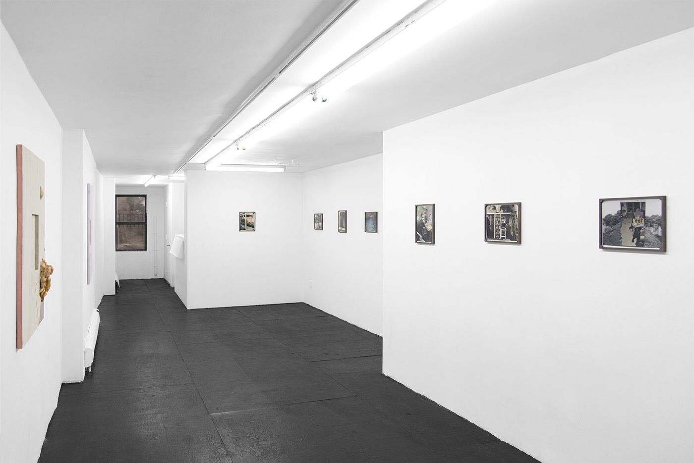 Em Rooney, The Word For Forest at Bodega, photo 3