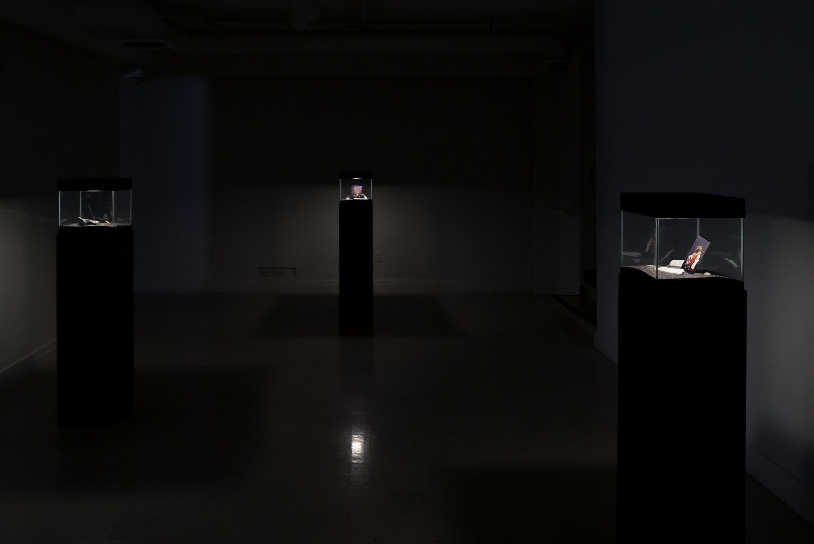Vanessa Holyoak & Antoine Chesnais, Souvenirs at LA Artcore, photo 5