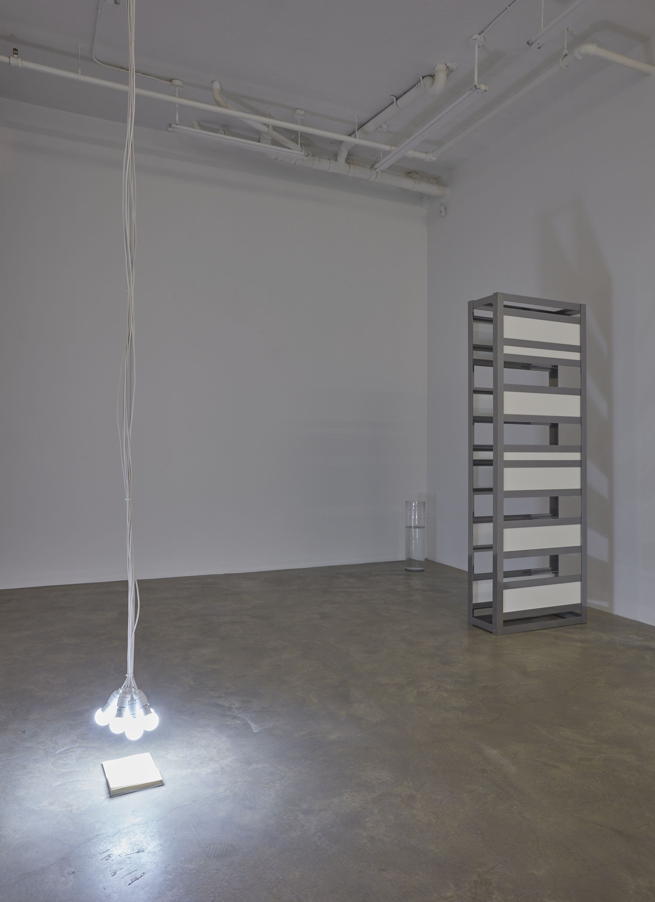 Liam Gillick, Redaction at Casey Kaplan, photo 4
