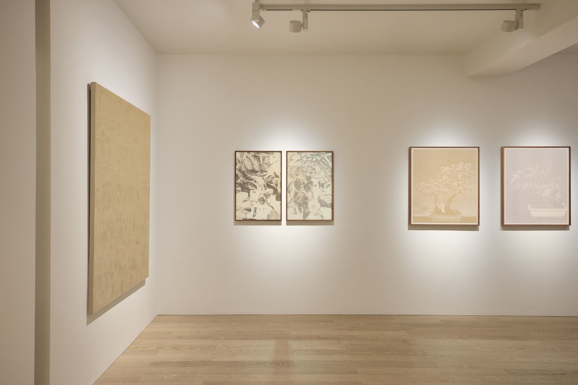 Xiaochi Dong & Feiyi Wen, The Garden and the Gaze at Albion Jeune, photo 10