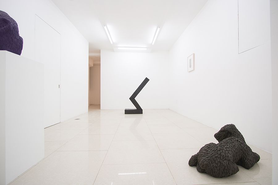 Carl D'Alvia, image 3 of 5