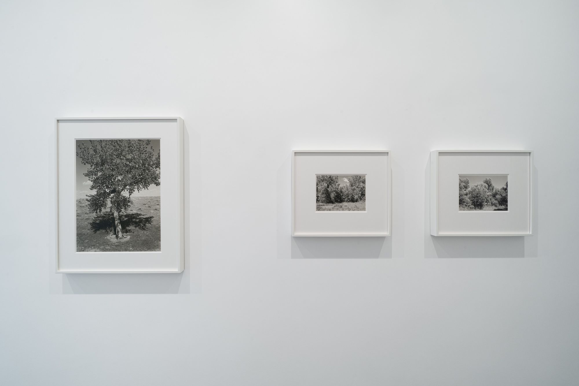 Robert Adams, image 6 of 7