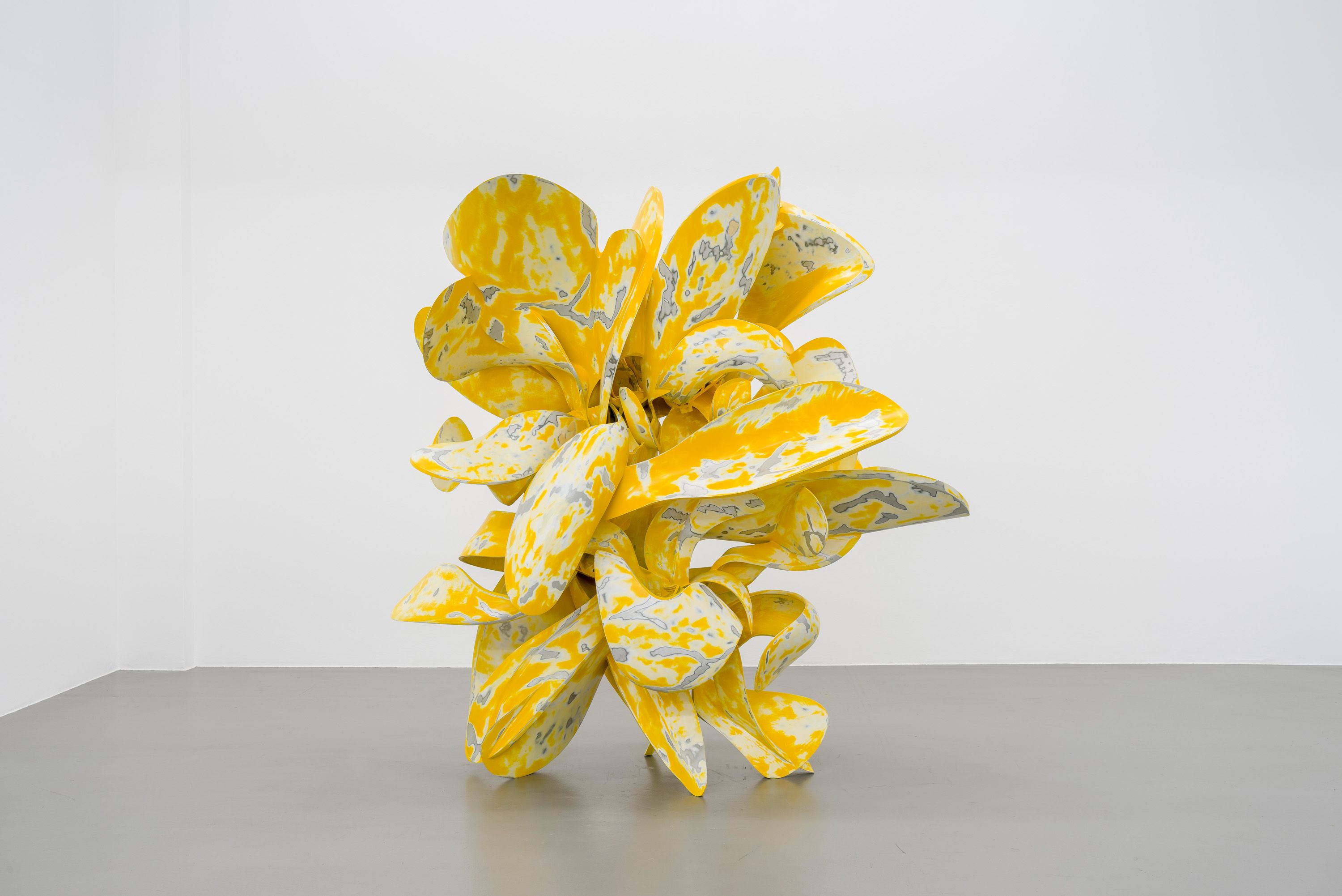 Tony Cragg, Tony Cragg at Buchmann Galerie, photo 5