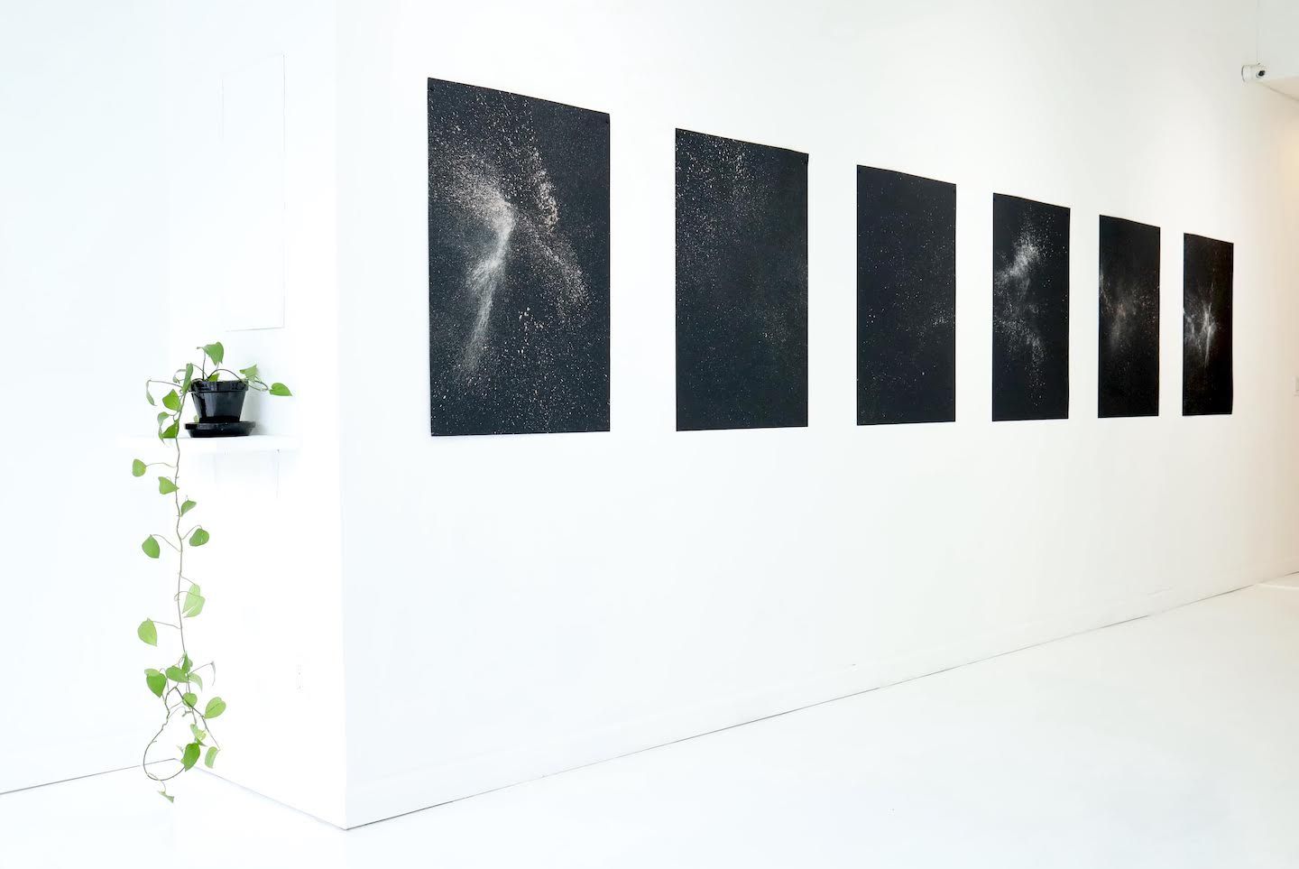 Federico Cartas, image 2 of 3
