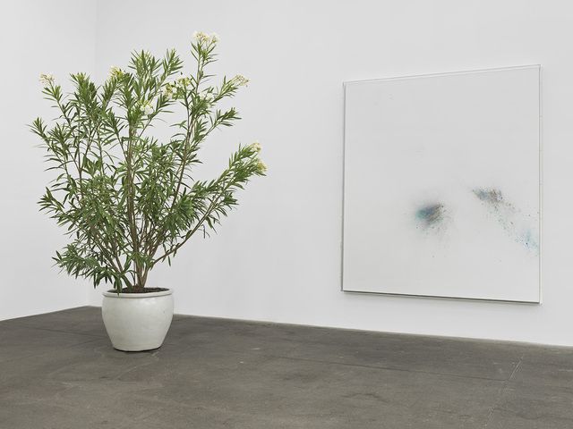 Thilo Heinzmann, Thilo Heinzmann at Bortolami, photo 4