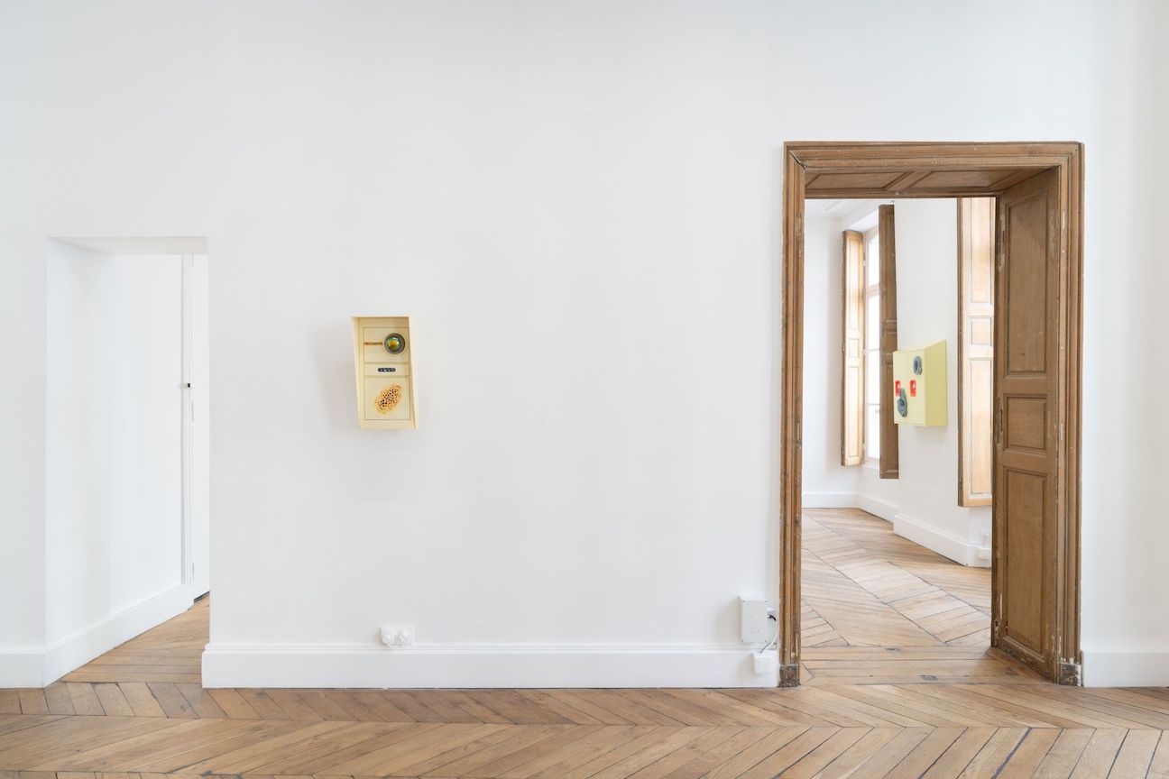 Cooper Jacoby, The Living Substrate at Fitzpatrick Gallery, photo 8
