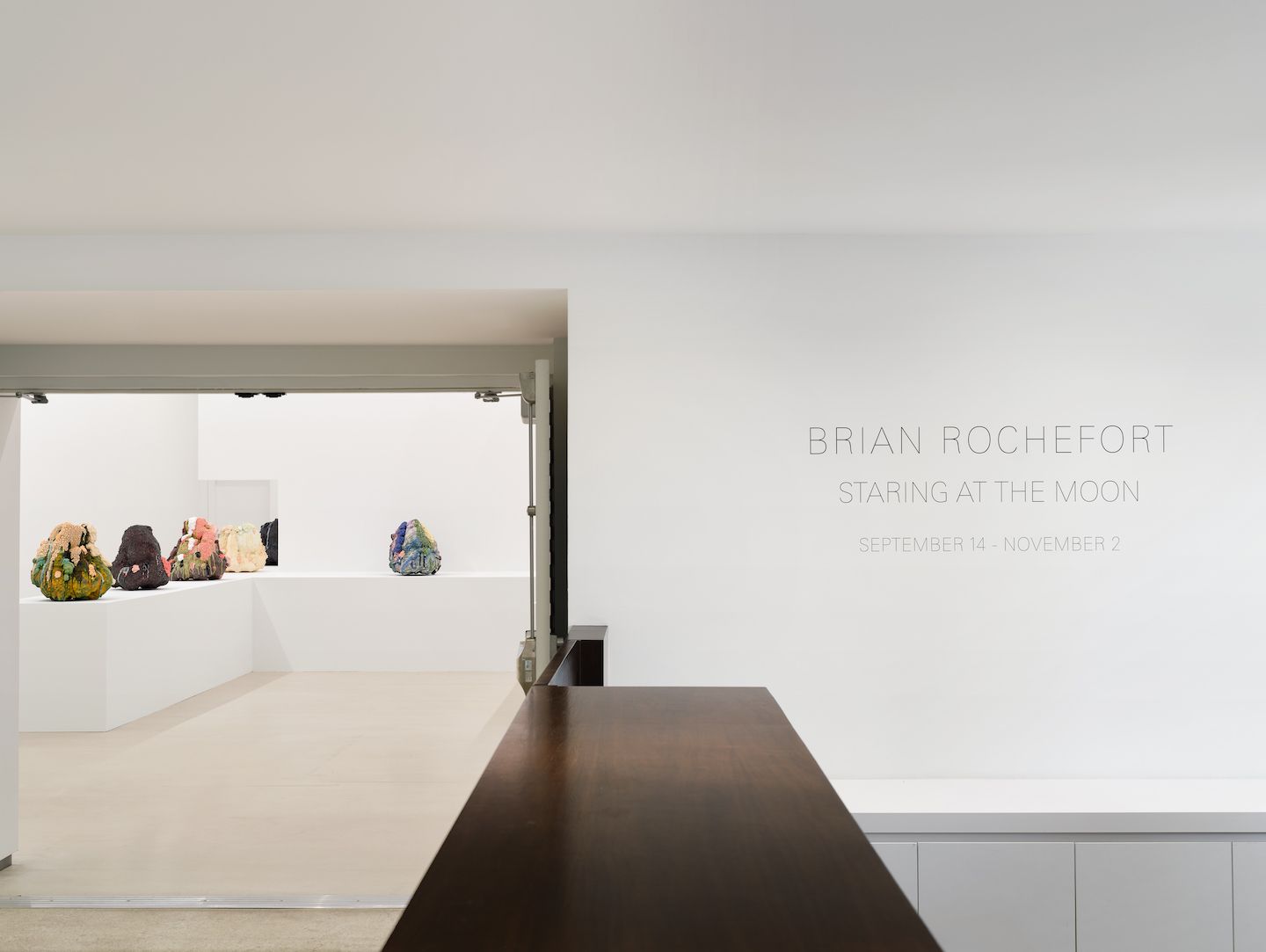 Brian Rochefort, Staring at the Moon at Sean Kelly, photo 13