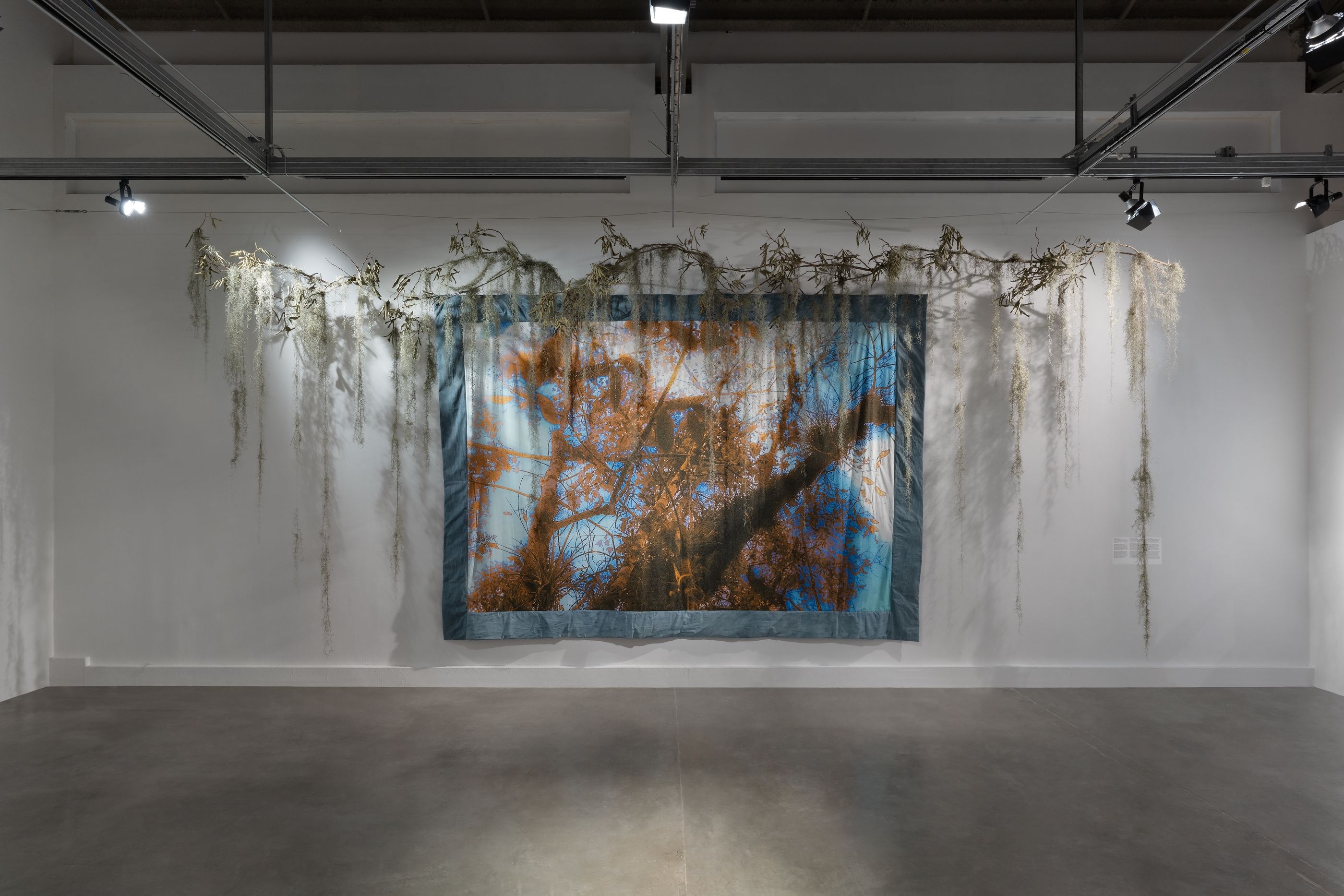 Diana Eusebio, Field of Dreams at MOCA North Miami, photo 5