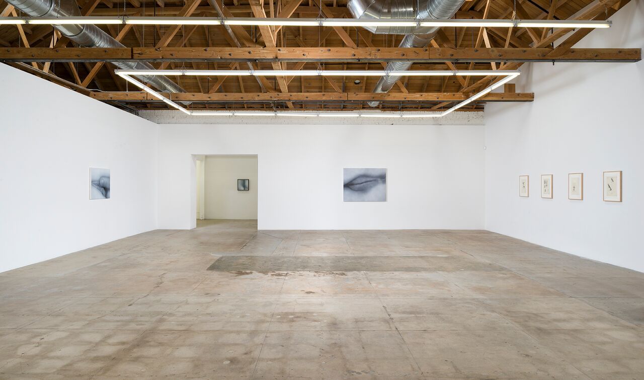 Betty Tompkins, Sex Works / Women Words, Phrases, and Stories at Gavlak, photo 4