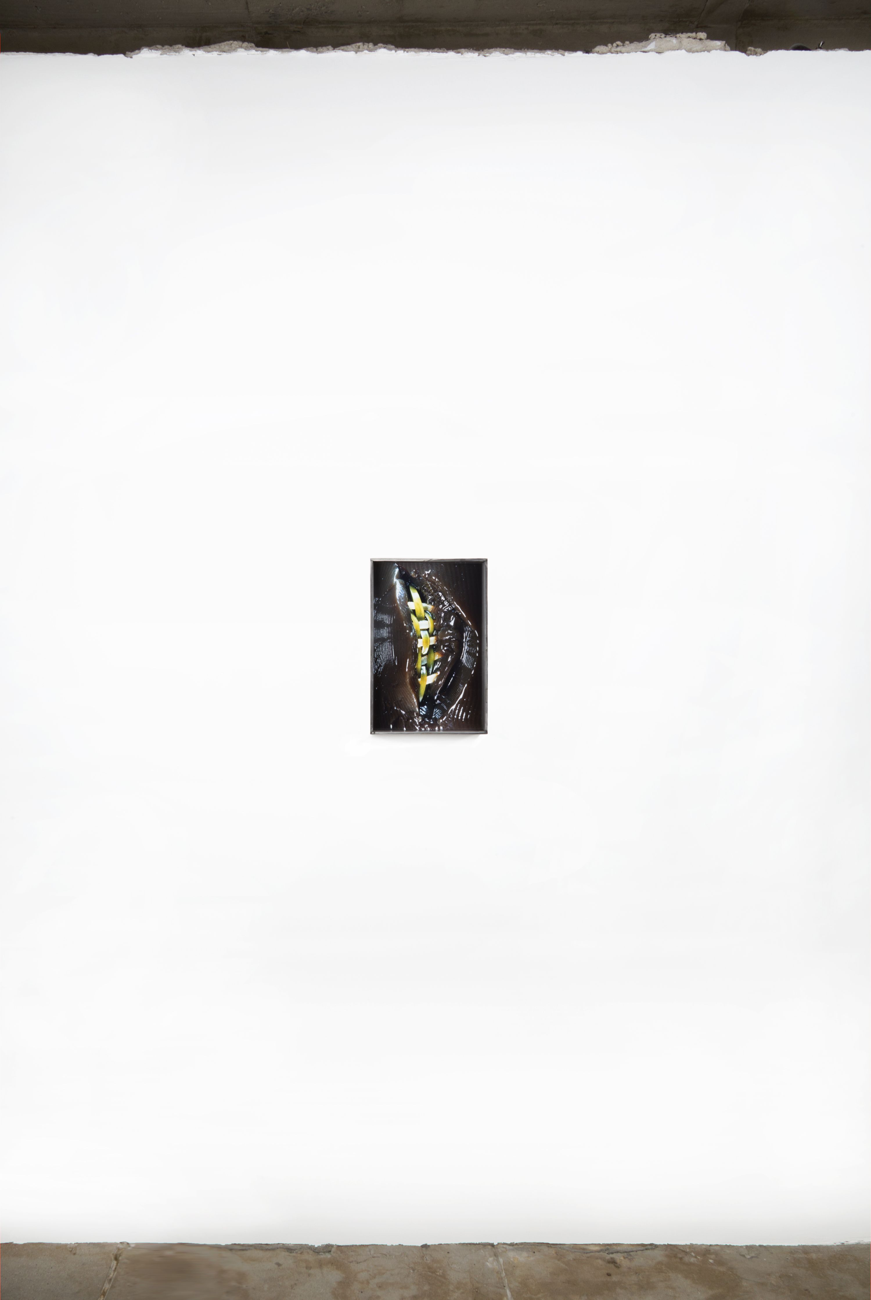 Diane Severin Nguyen, Flesh Before Body at Bad Reputation, photo 5
