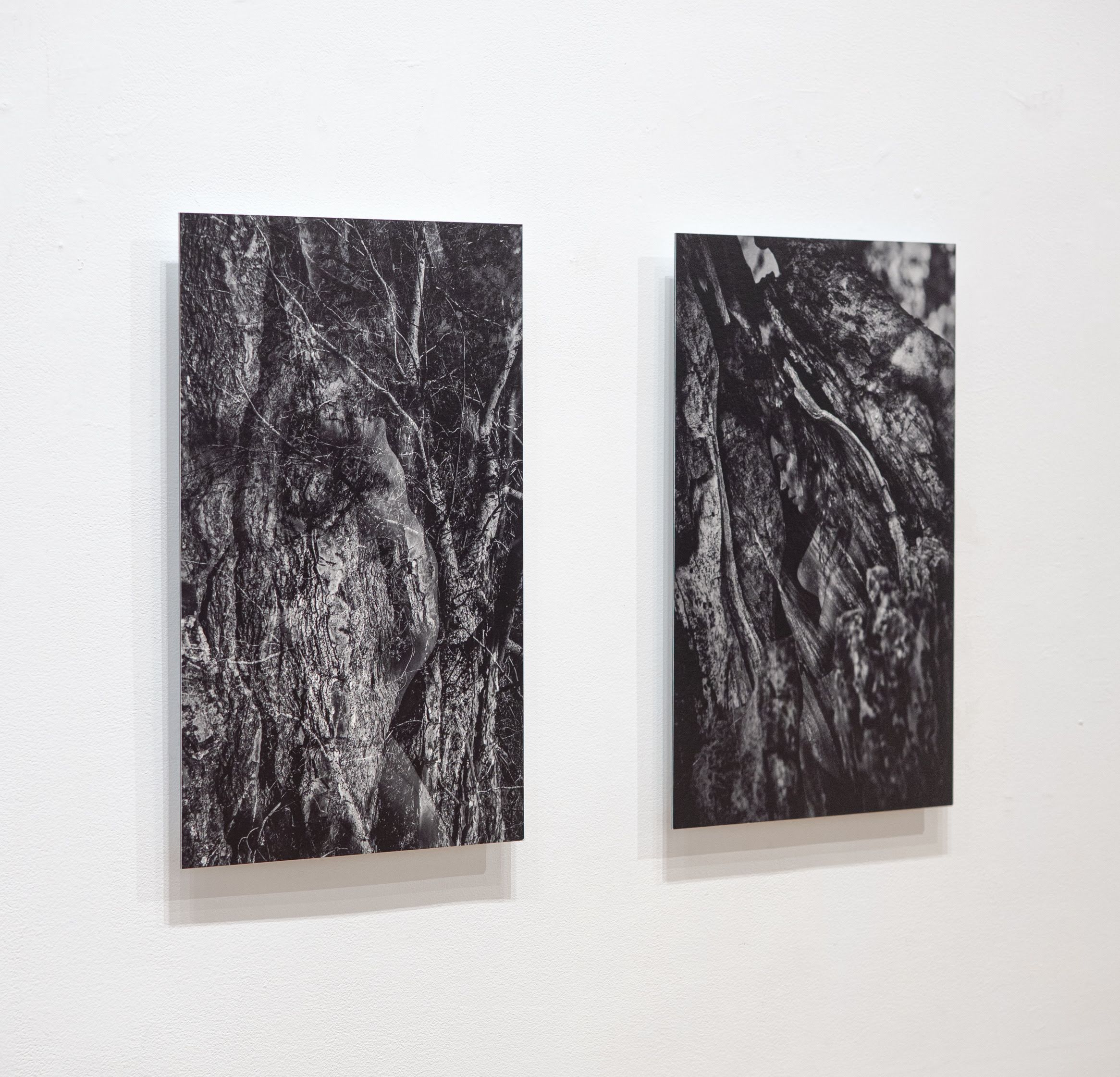 Nature of Nordic Woman, Nature of Nordic Woman at Isabel Sullivan, photo 2