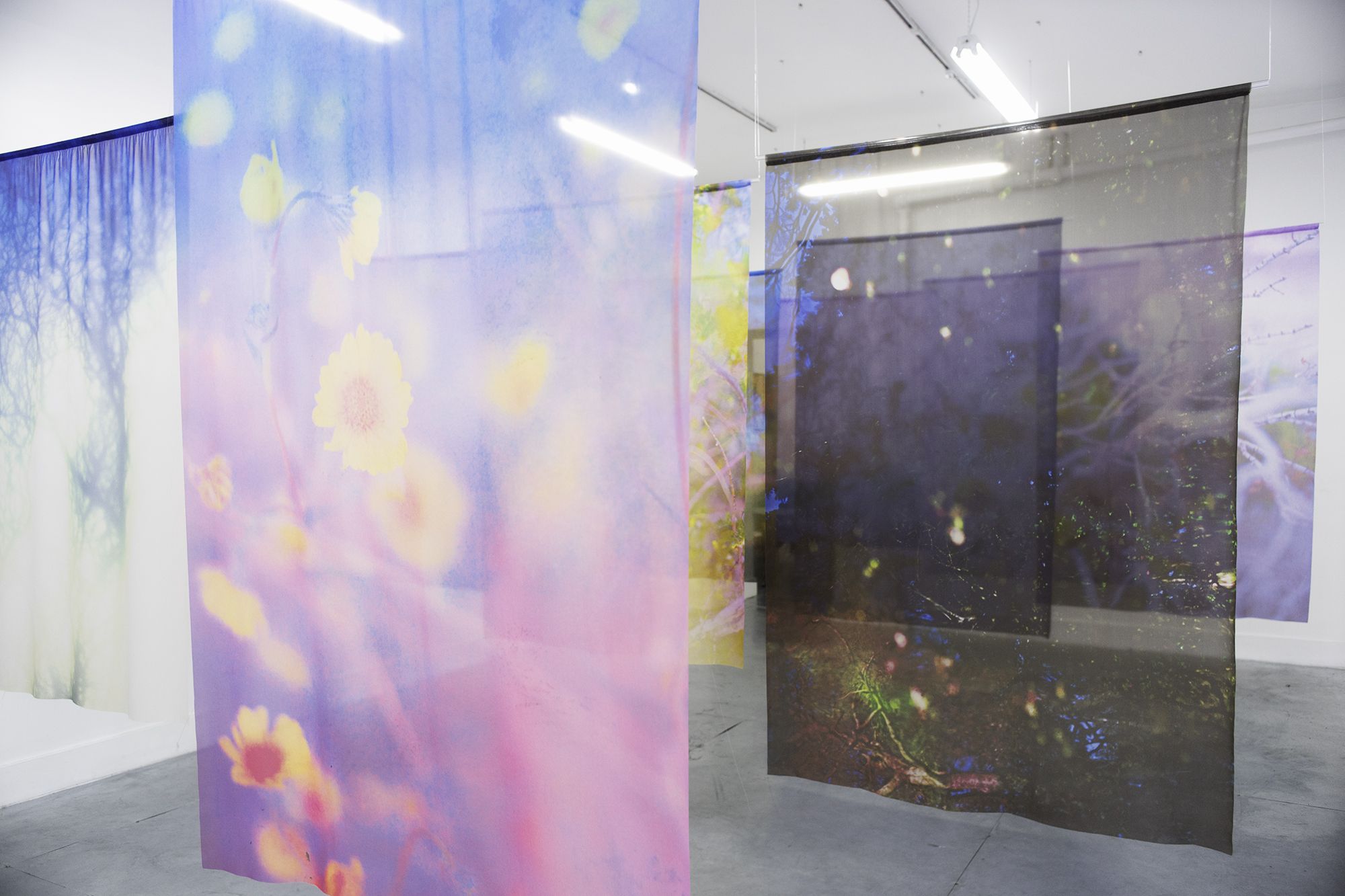 Jordan Sullivan, The Sun At Night at Rubber Factory, photo 2
