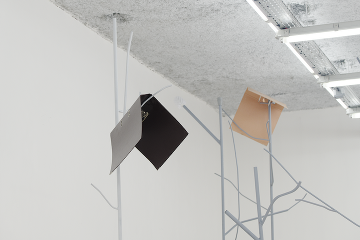 Jesse Darling, Selva Oscura at Sultana, photo 3