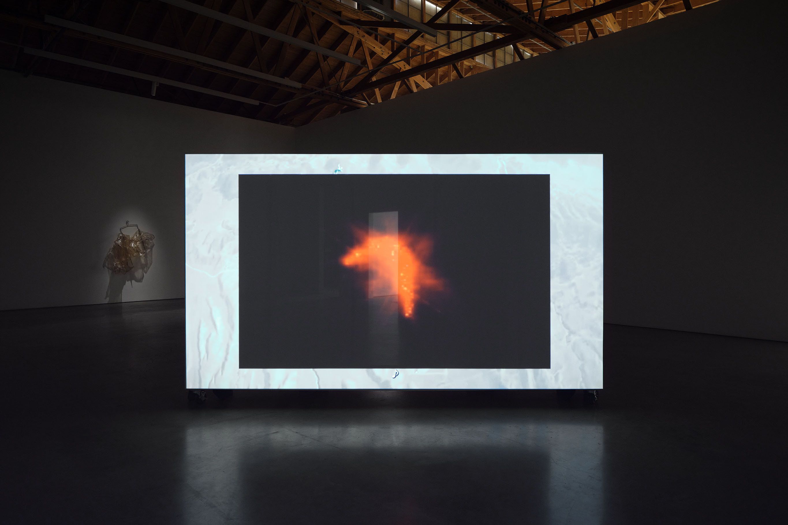 Salim Green, Taileater at François Ghebaly, photo 5