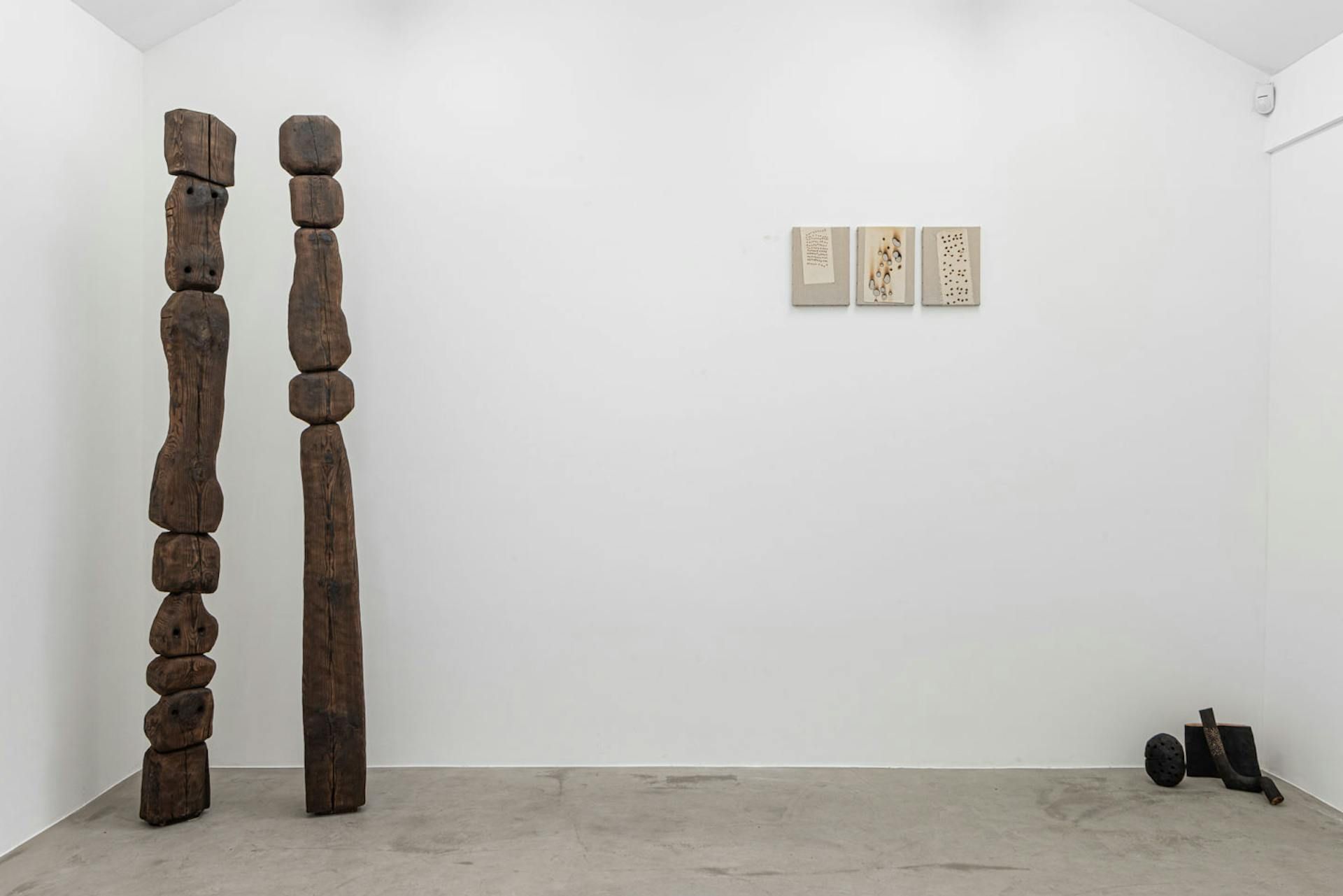 Daniel Brusatin, The Flower Is Always in the Almond at Niso, photo 4