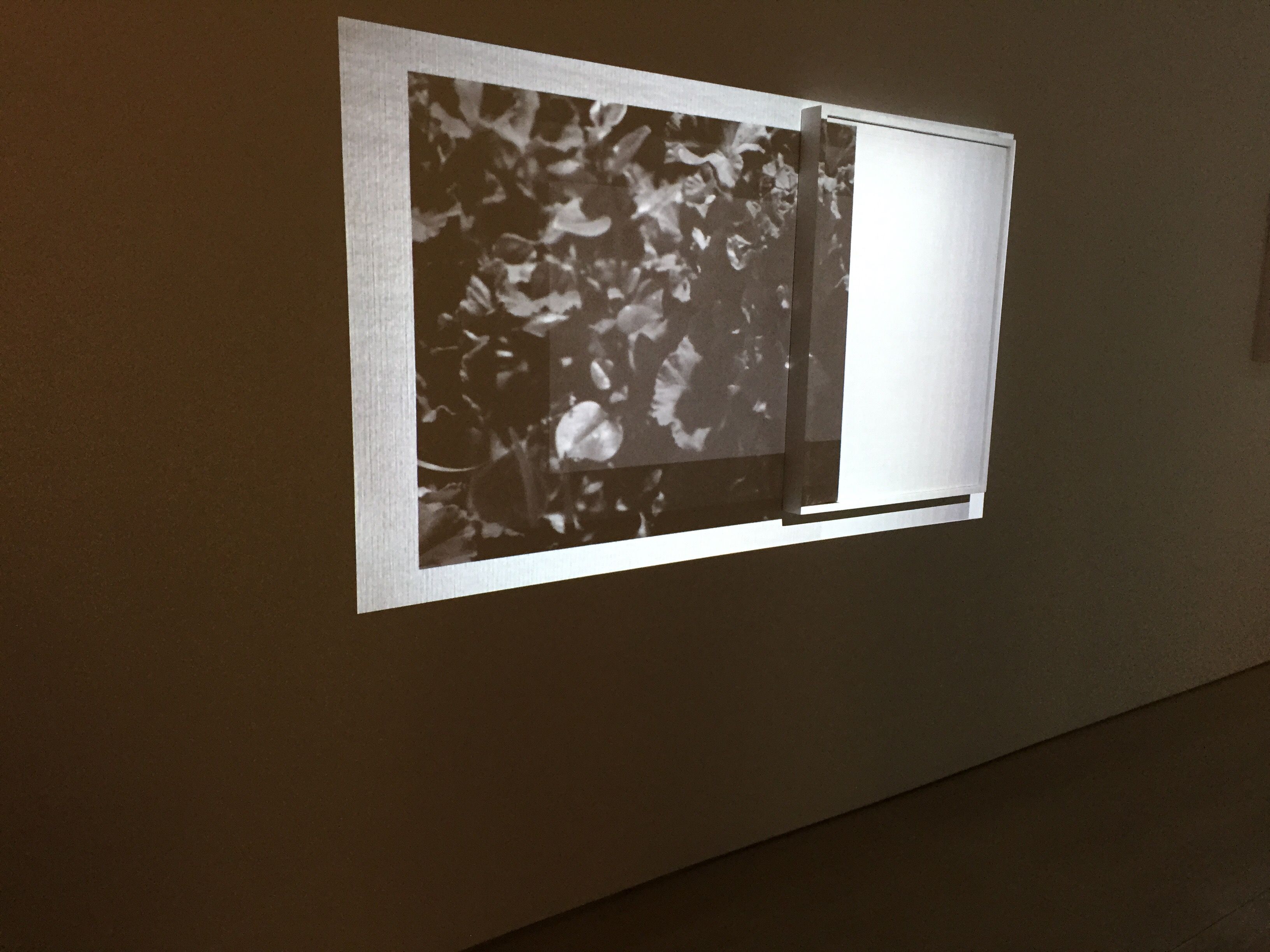 Huffman & Pearson, Third Person at Boesky East, photo 3