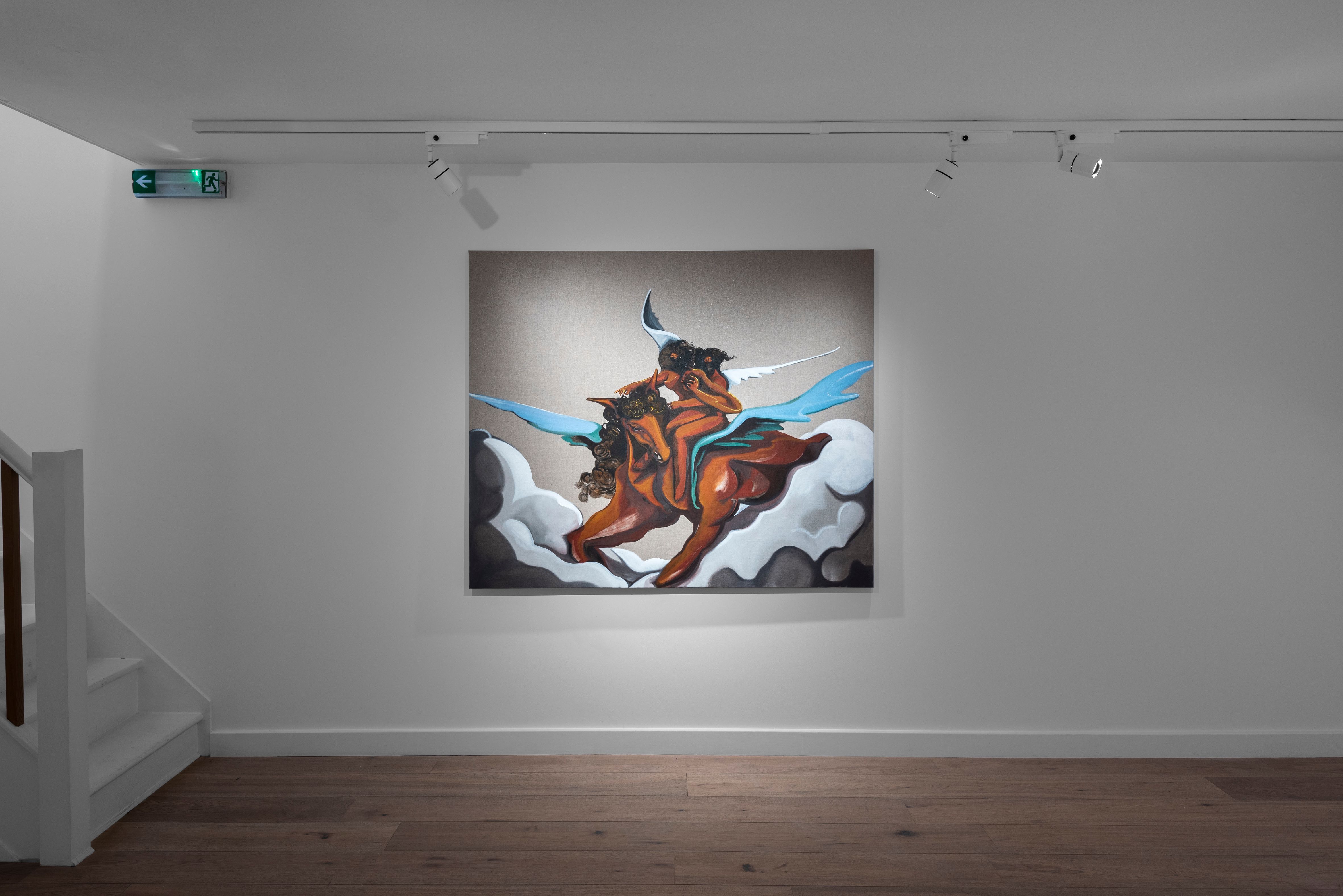 Asif Hoque, The American Loverboy at Taymour Grahne Projects, photo 6