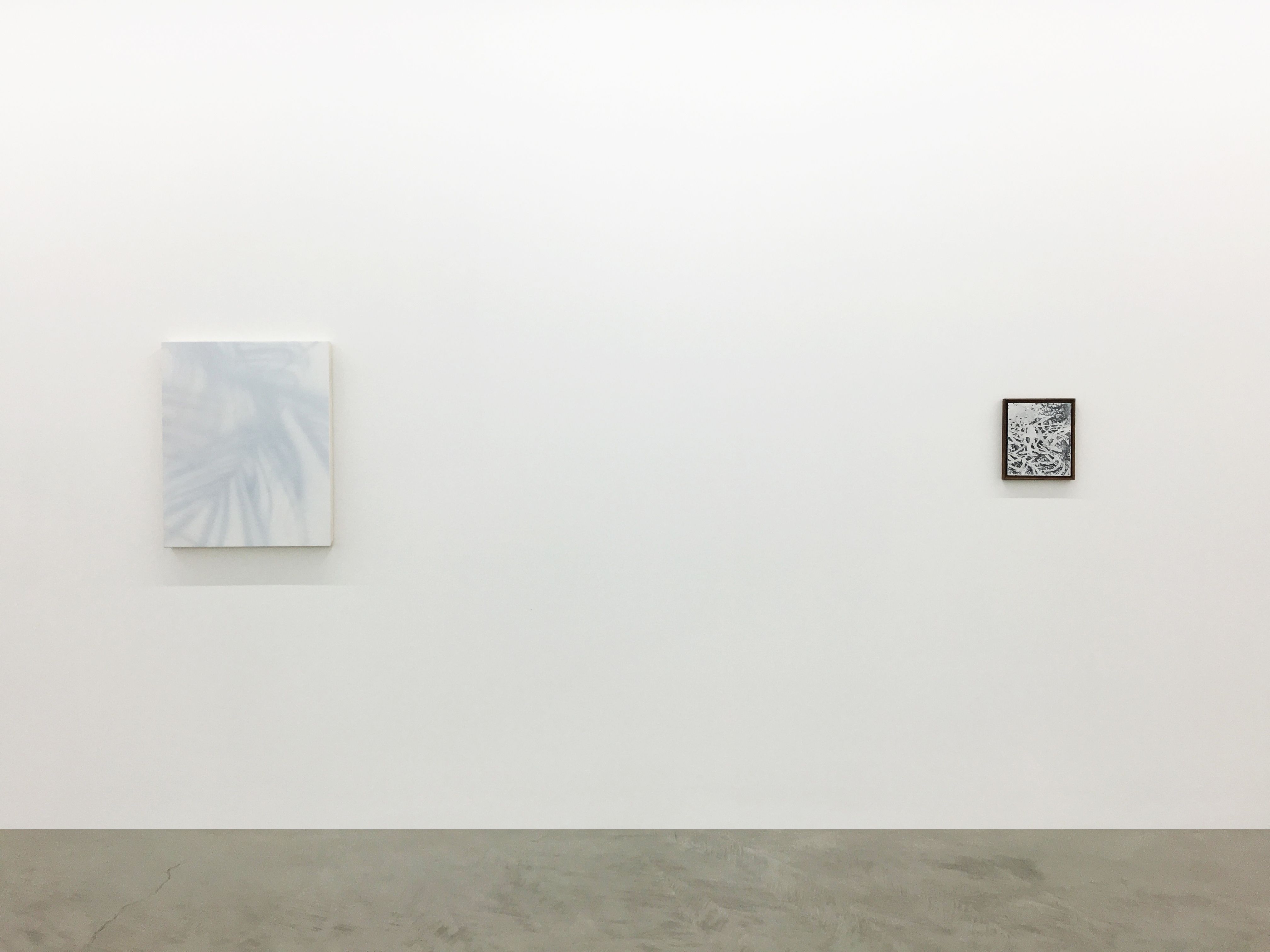 James Case-Leal, Grow Light at Parrasch Heijnen, photo 2