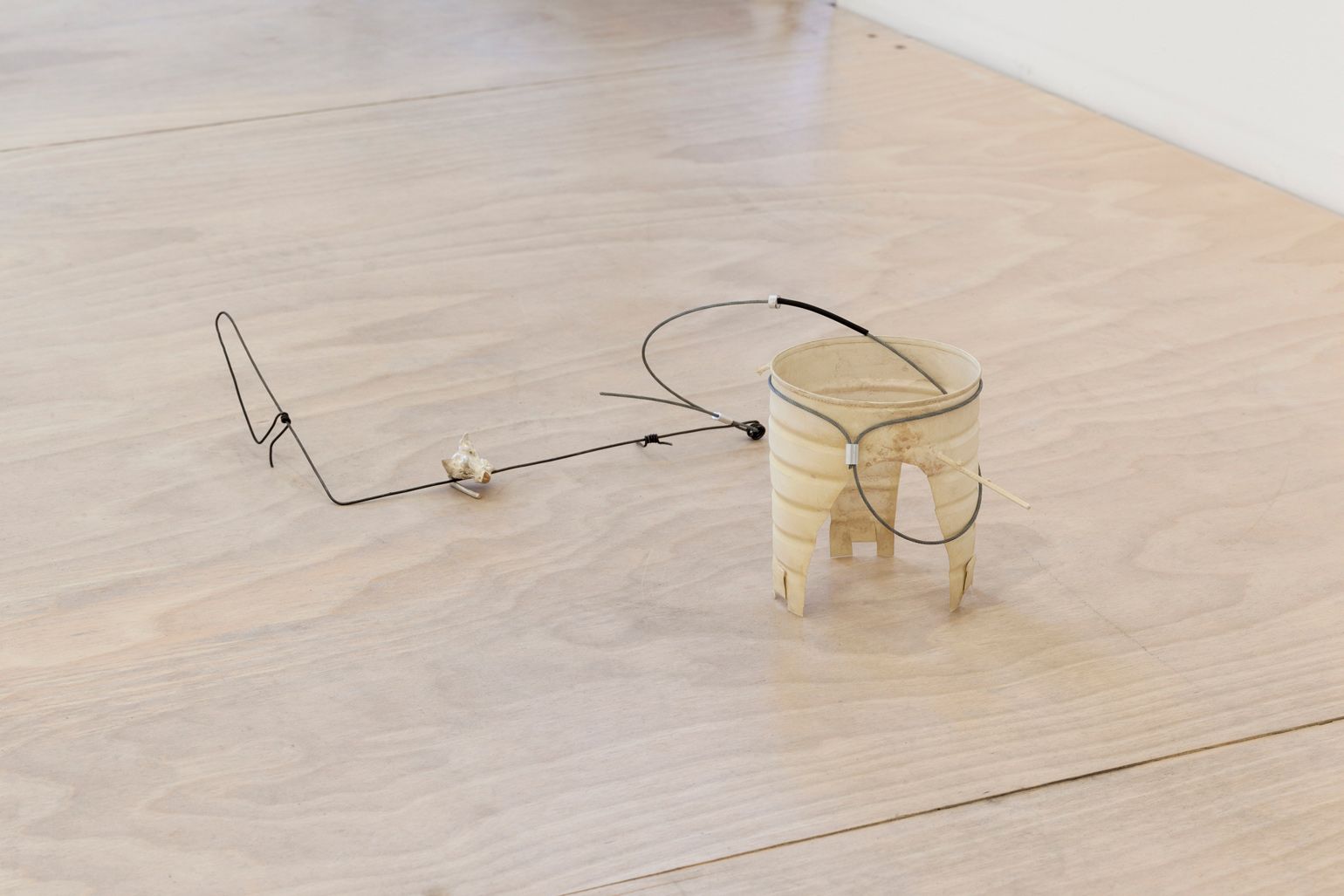 Piotr Lakomy & K.r.m. Mooney, σ at Hester, photo 3