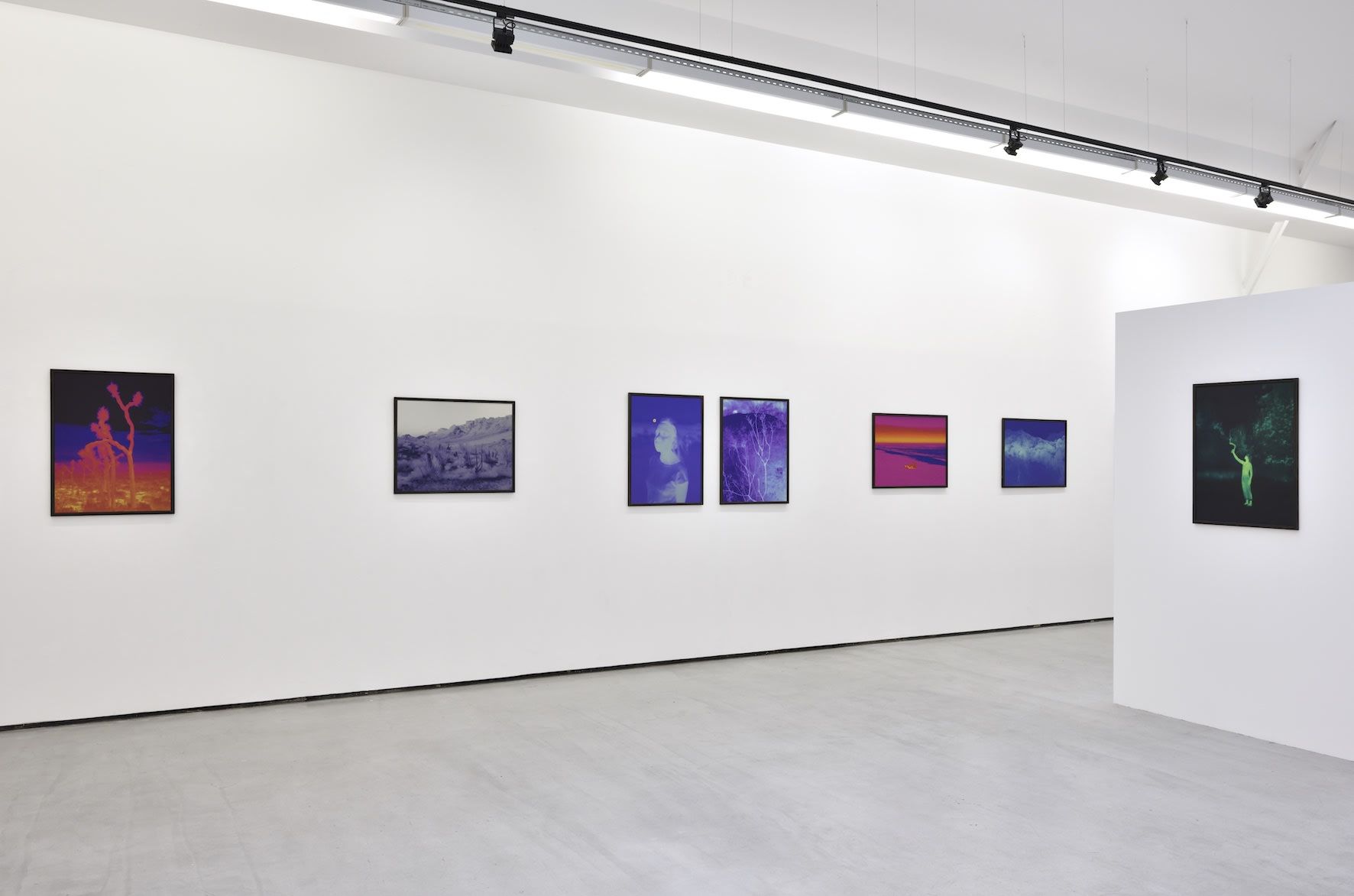 Smith, Dami at Christophe Gaillard, photo 10