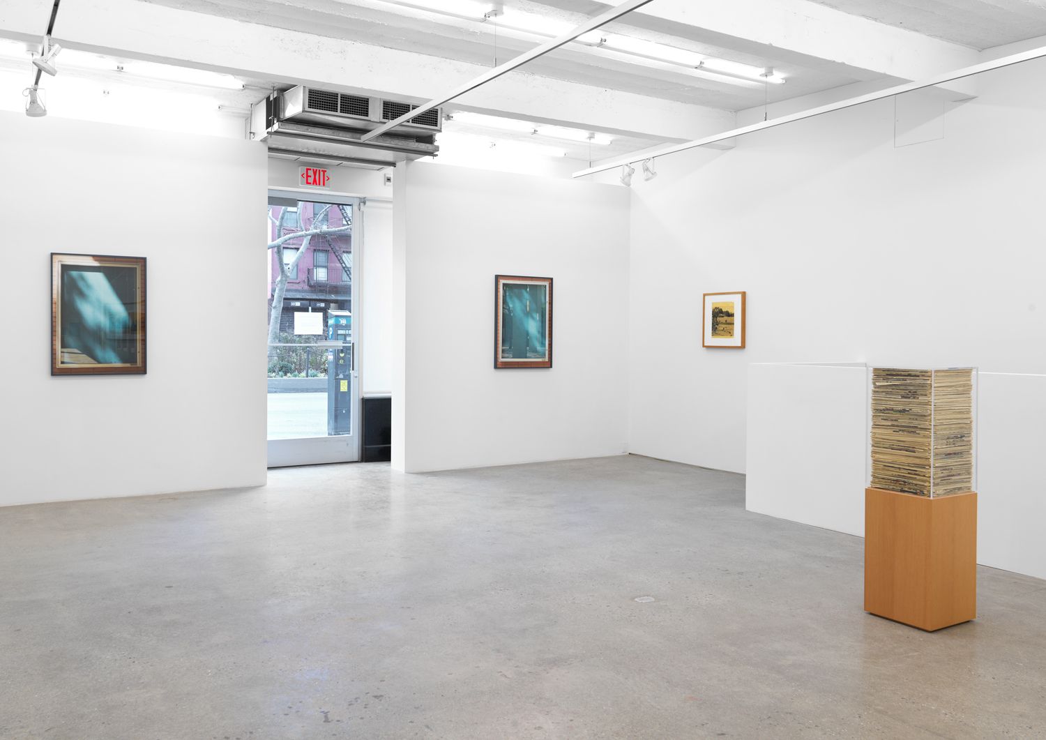 Jennifer Bolande, The Composition of Decomposition at Magenta Plains, photo 5
