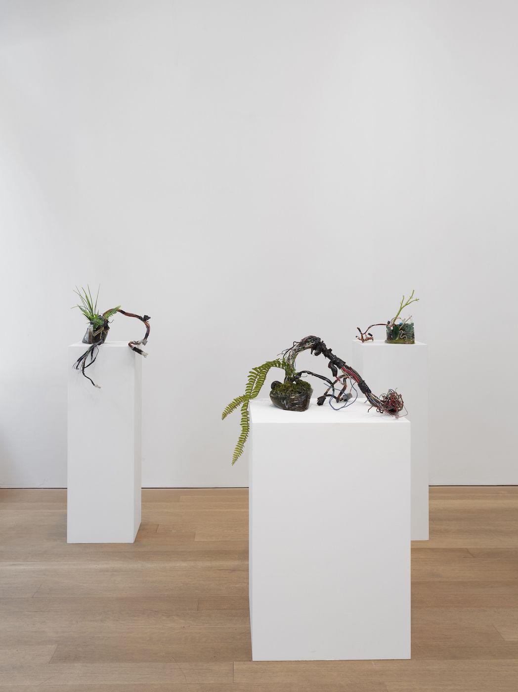 Mary's New Home and Other Works, Mary's New Home and Other Works at Alexander and Bonin, photo 2