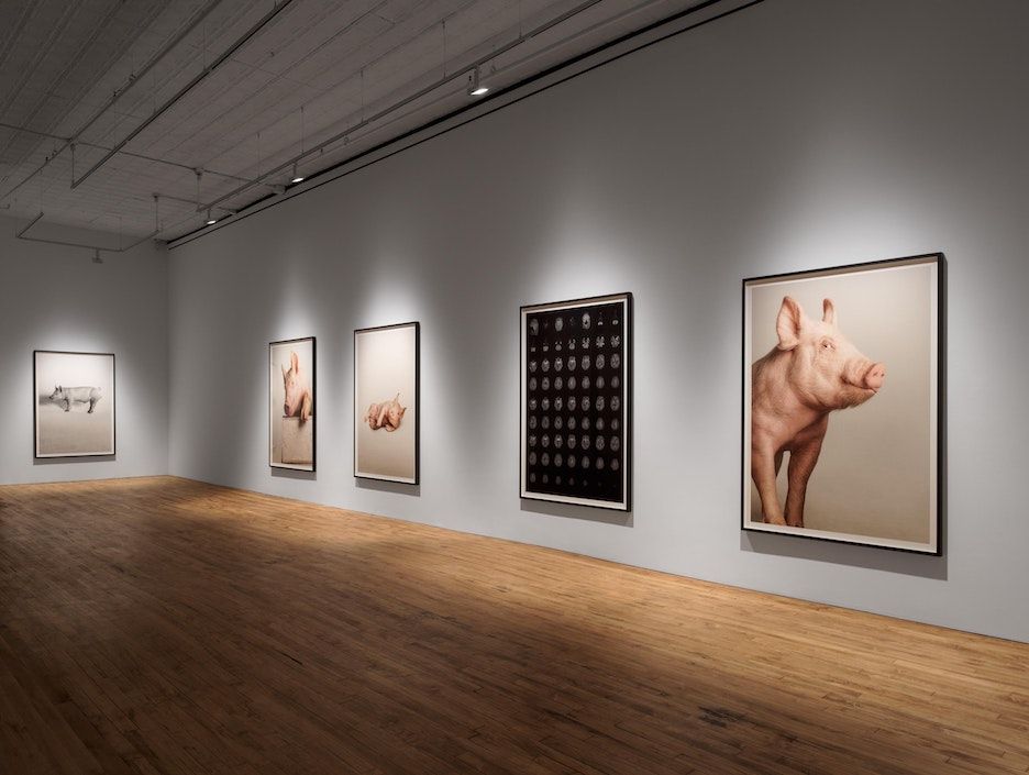 Heji Shin, The Big Nudes at 52 Walker, photo 9
