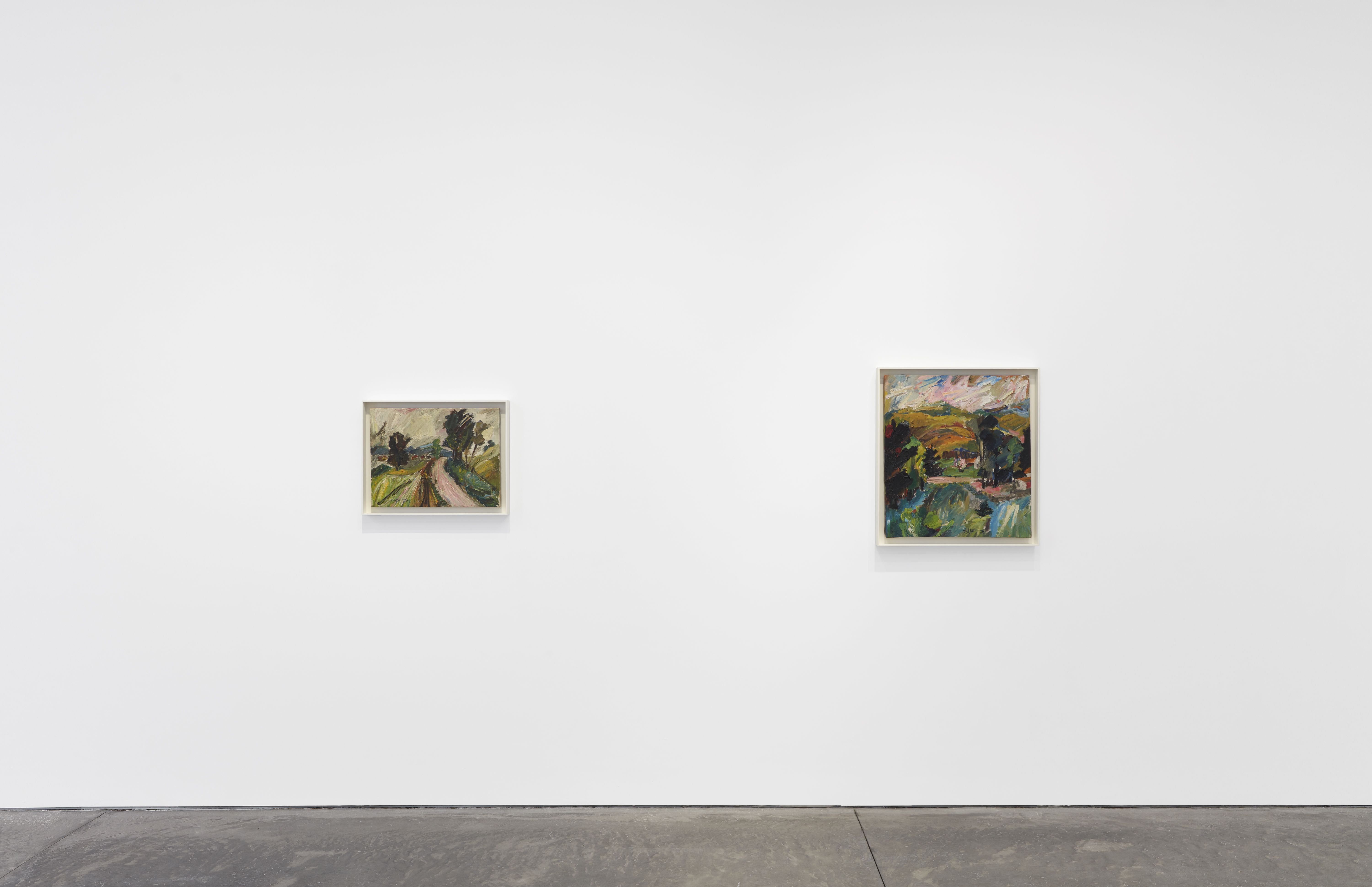 Manoucher Yektai, Landscapes at Karma, photo 23