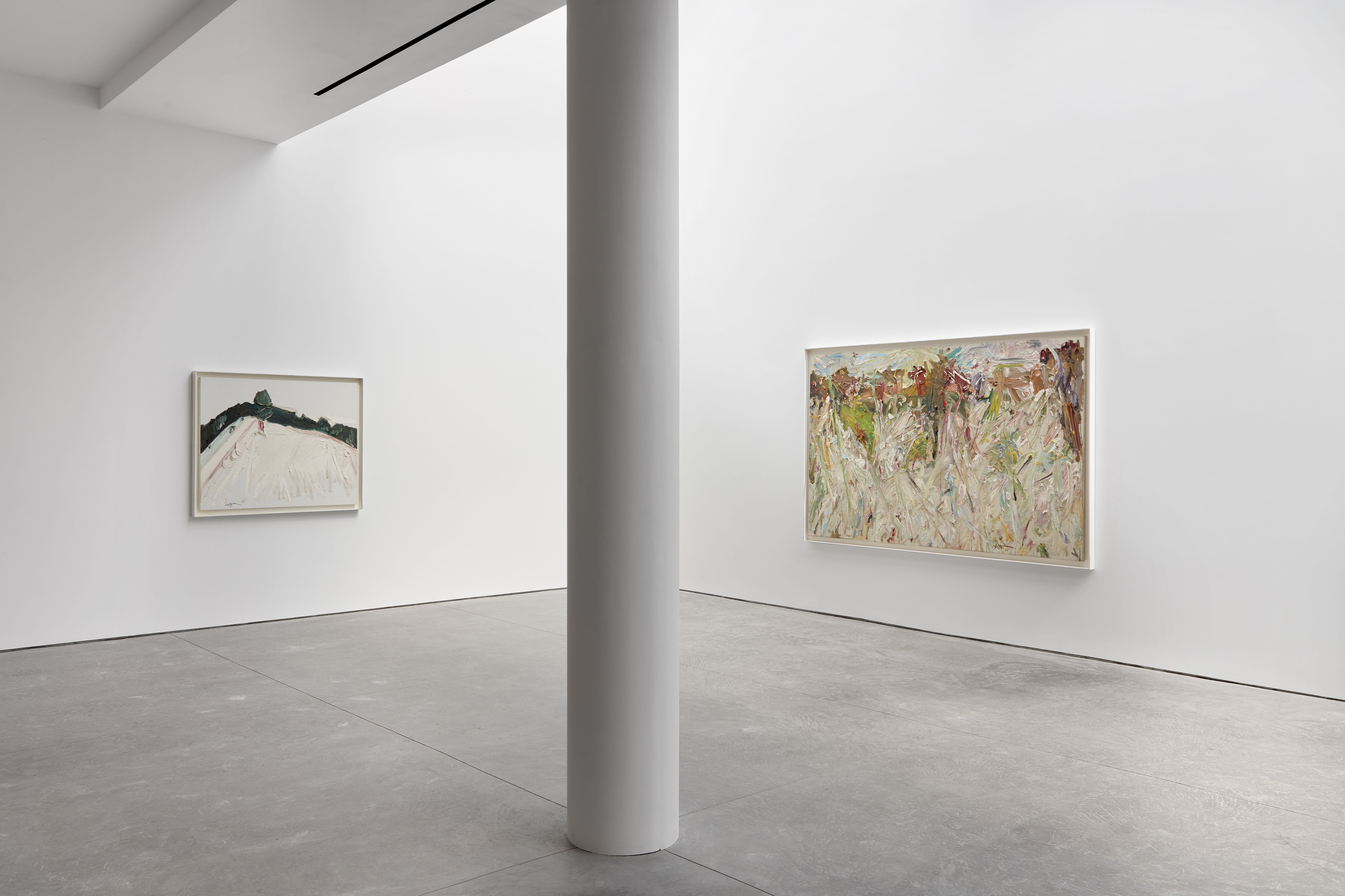 Manoucher Yektai, Landscapes at Karma, photo 14